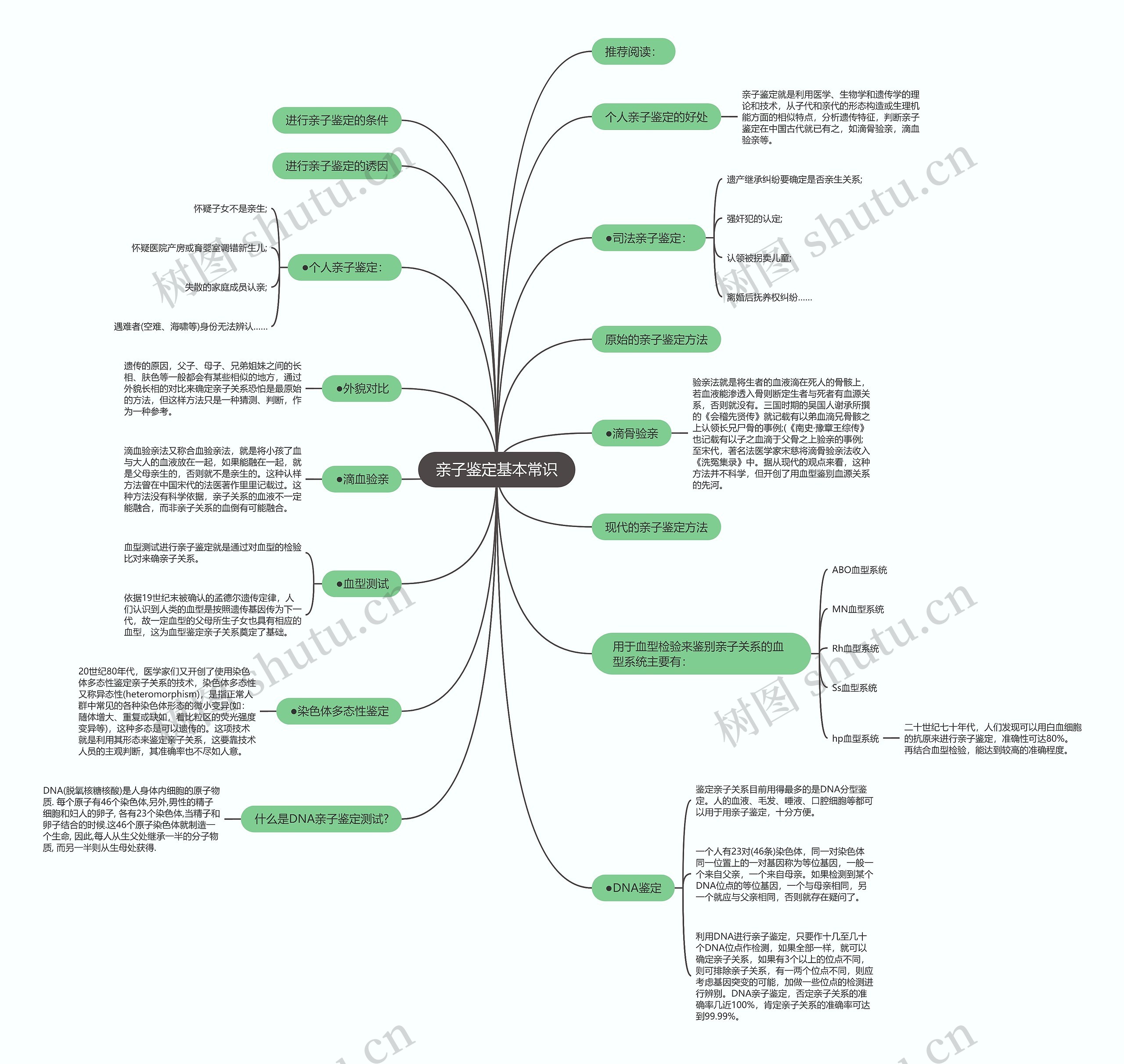 亲子鉴定基本常识思维导图