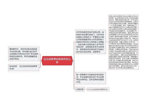 社会抚养费征收程序怎么样