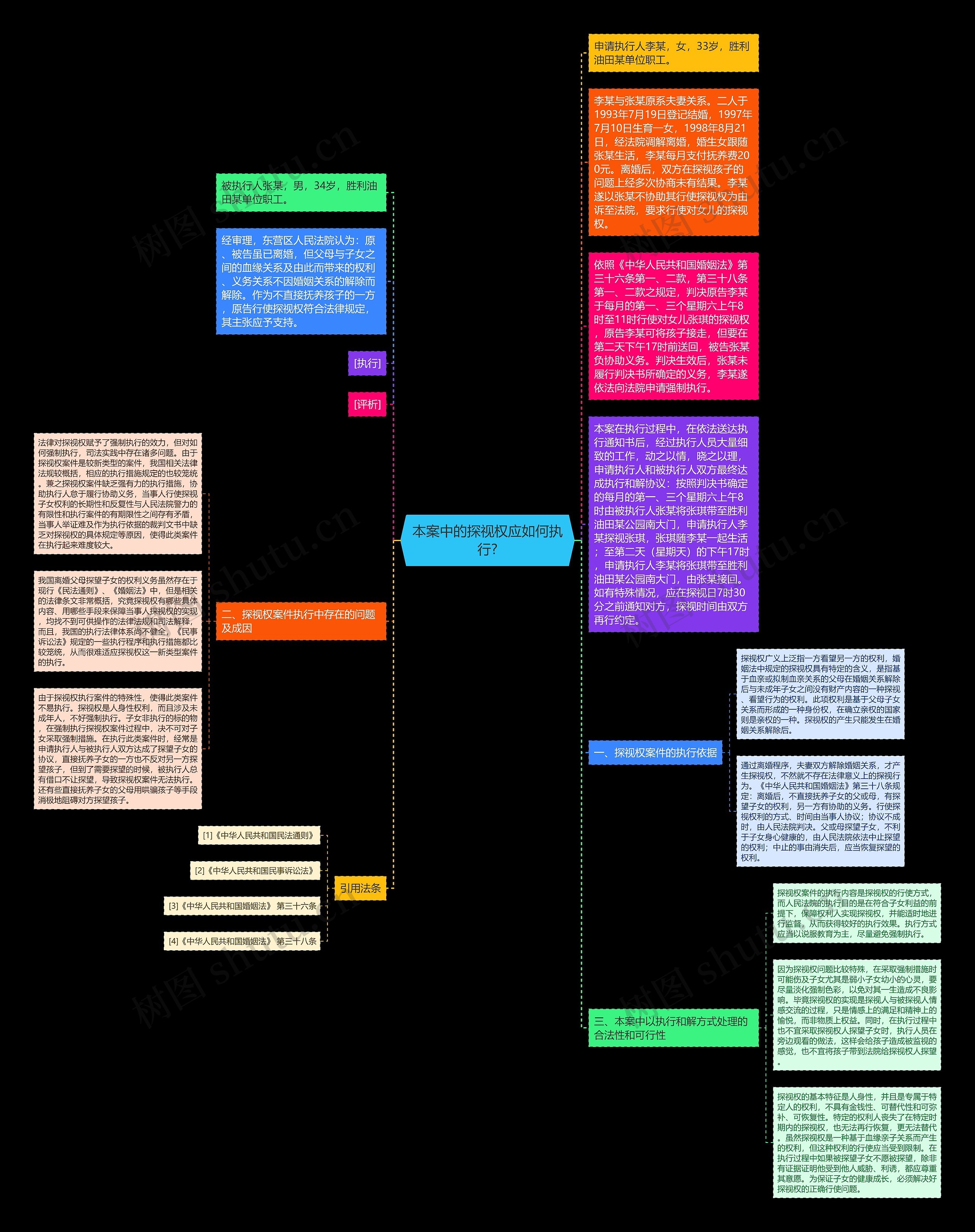 本案中的探视权应如何执行?思维导图