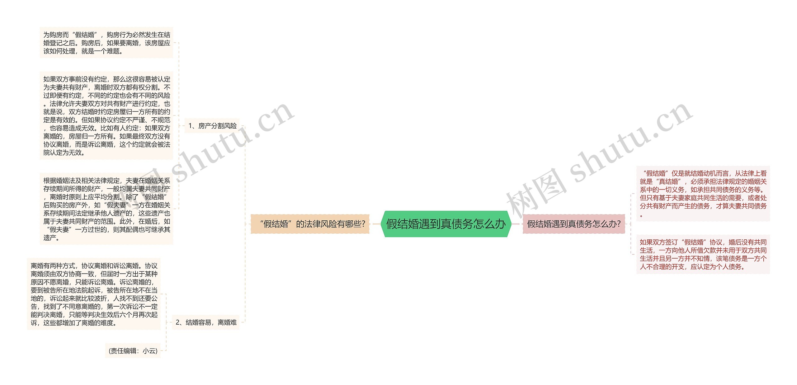 假结婚遇到真债务怎么办思维导图
