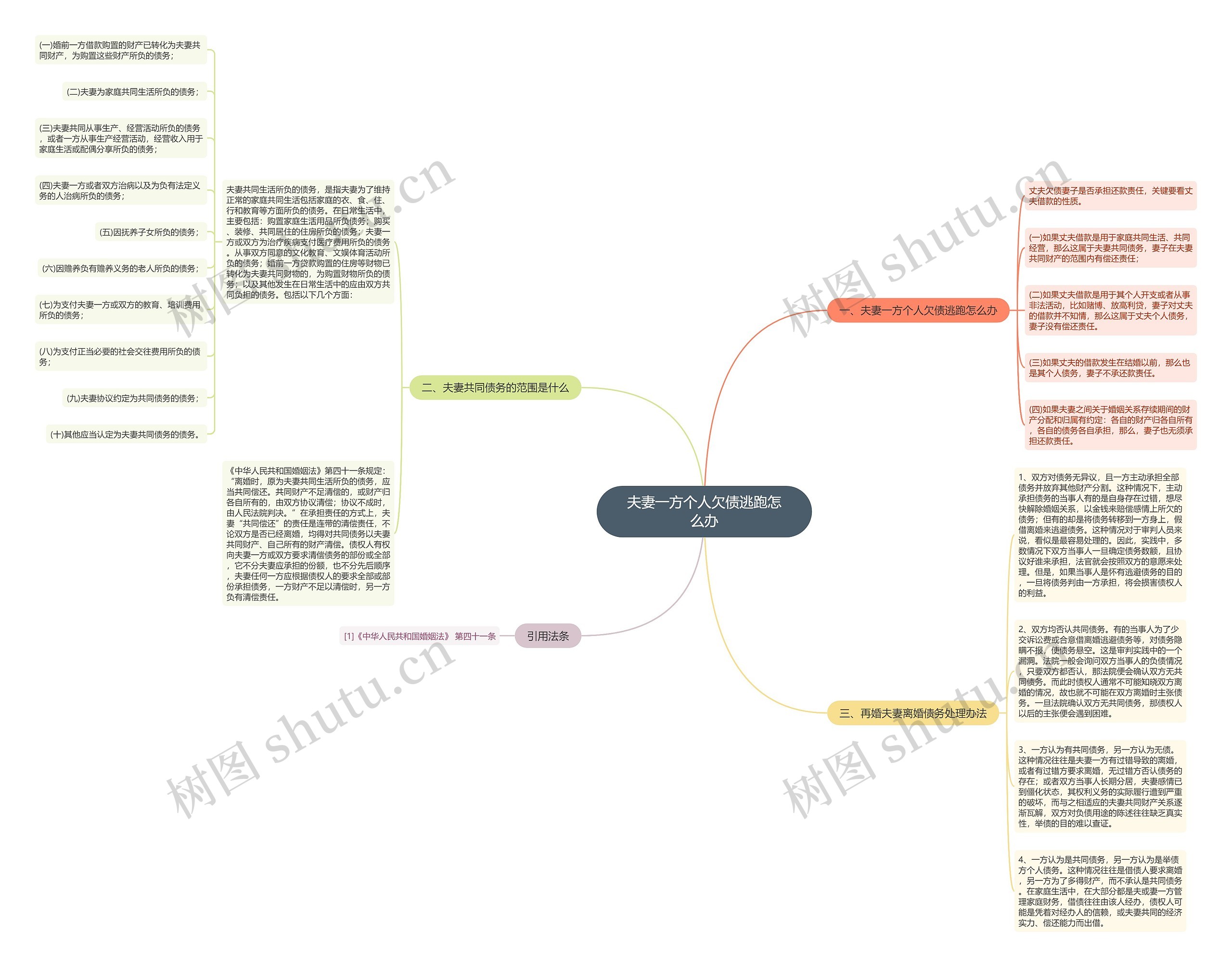 夫妻一方个人欠债逃跑怎么办思维导图