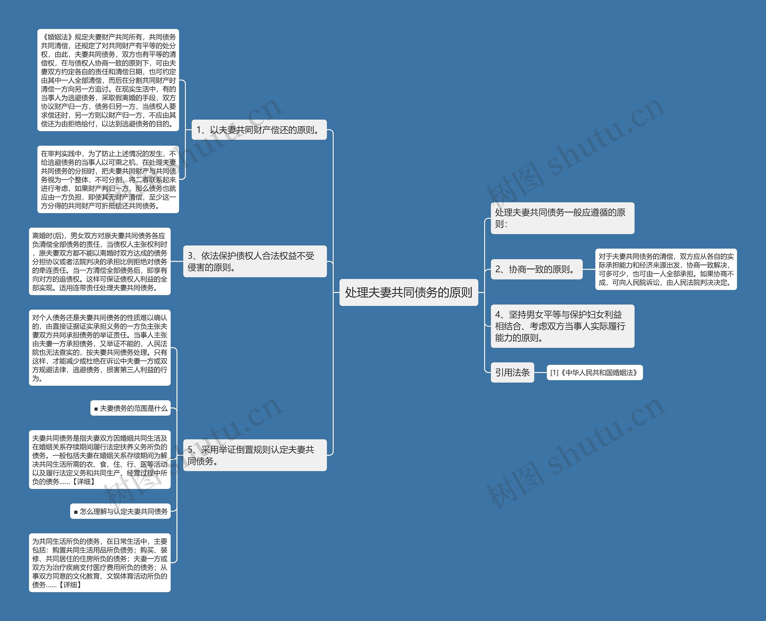 处理夫妻共同债务的原则思维导图