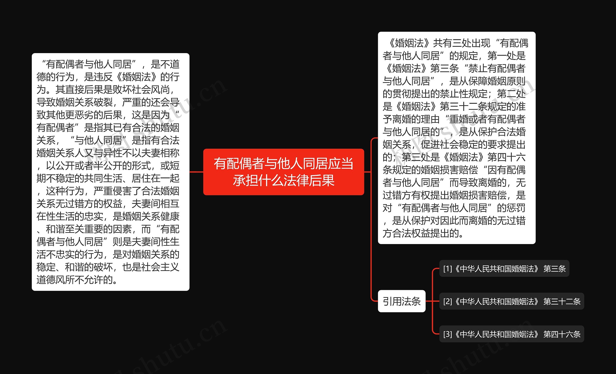 有配偶者与他人同居应当承担什么法律后果思维导图