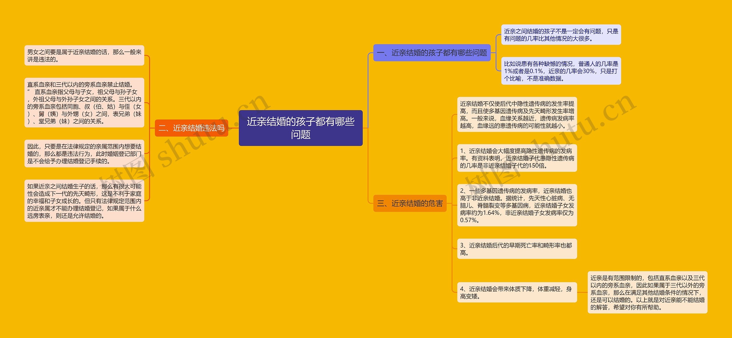 近亲结婚的孩子都有哪些问题思维导图