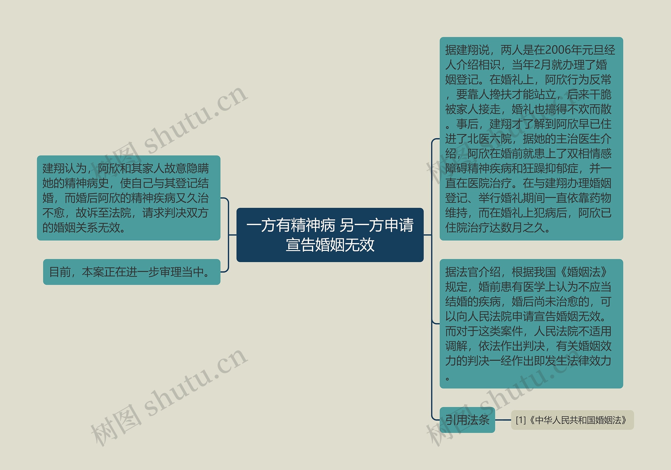 一方有精神病 另一方申请宣告婚姻无效思维导图