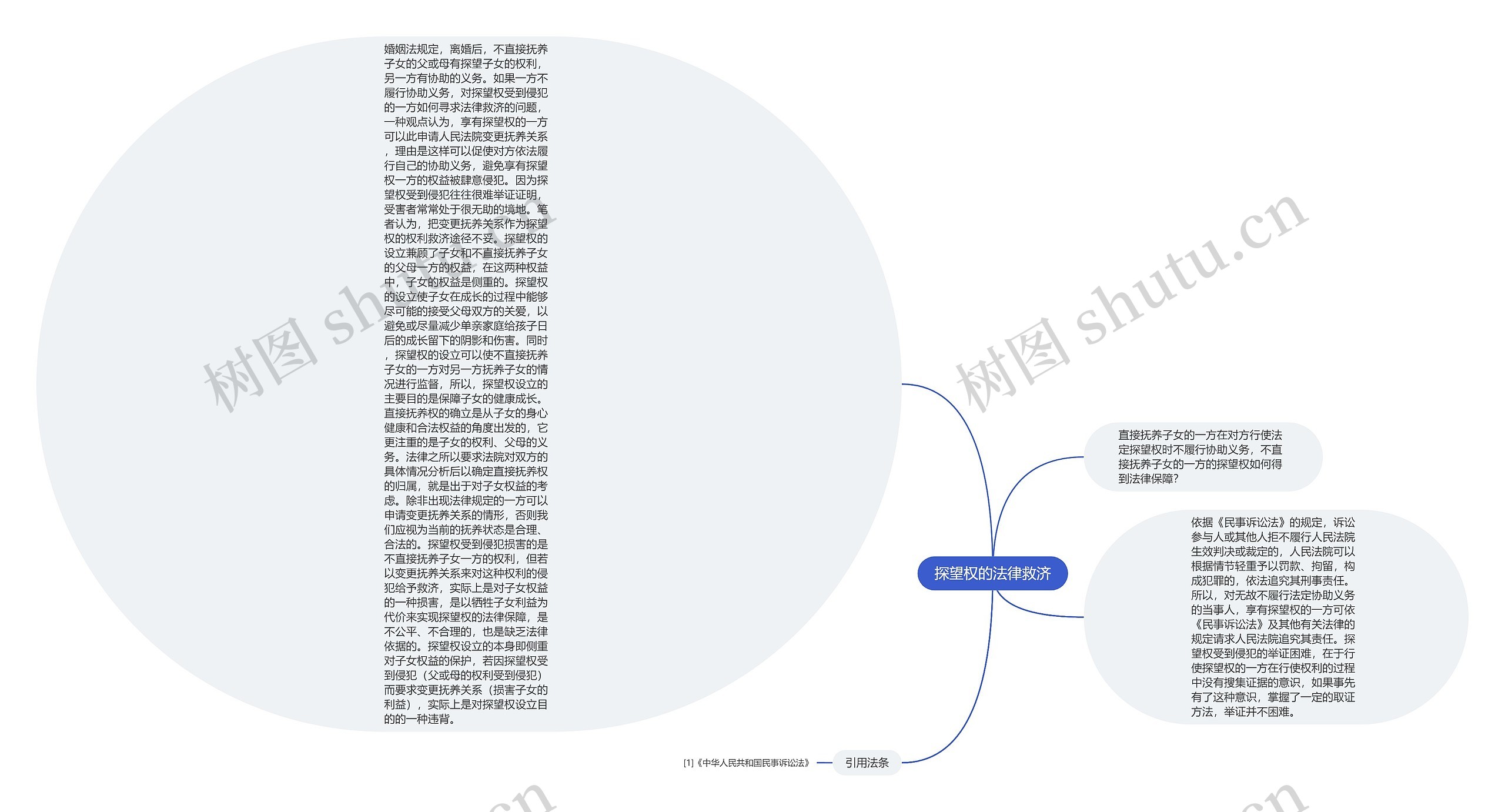 探望权的法律救济