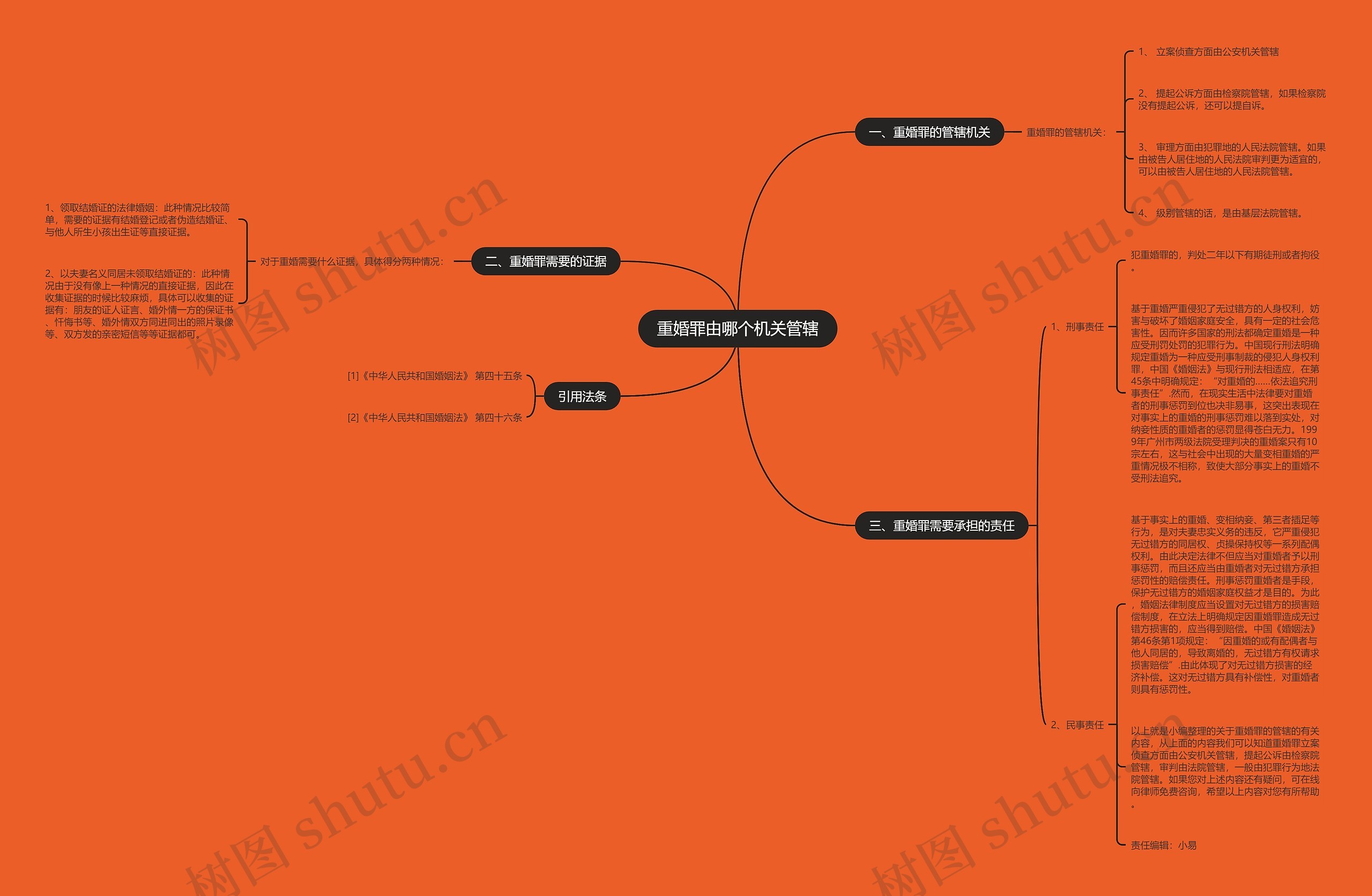 重婚罪由哪个机关管辖思维导图