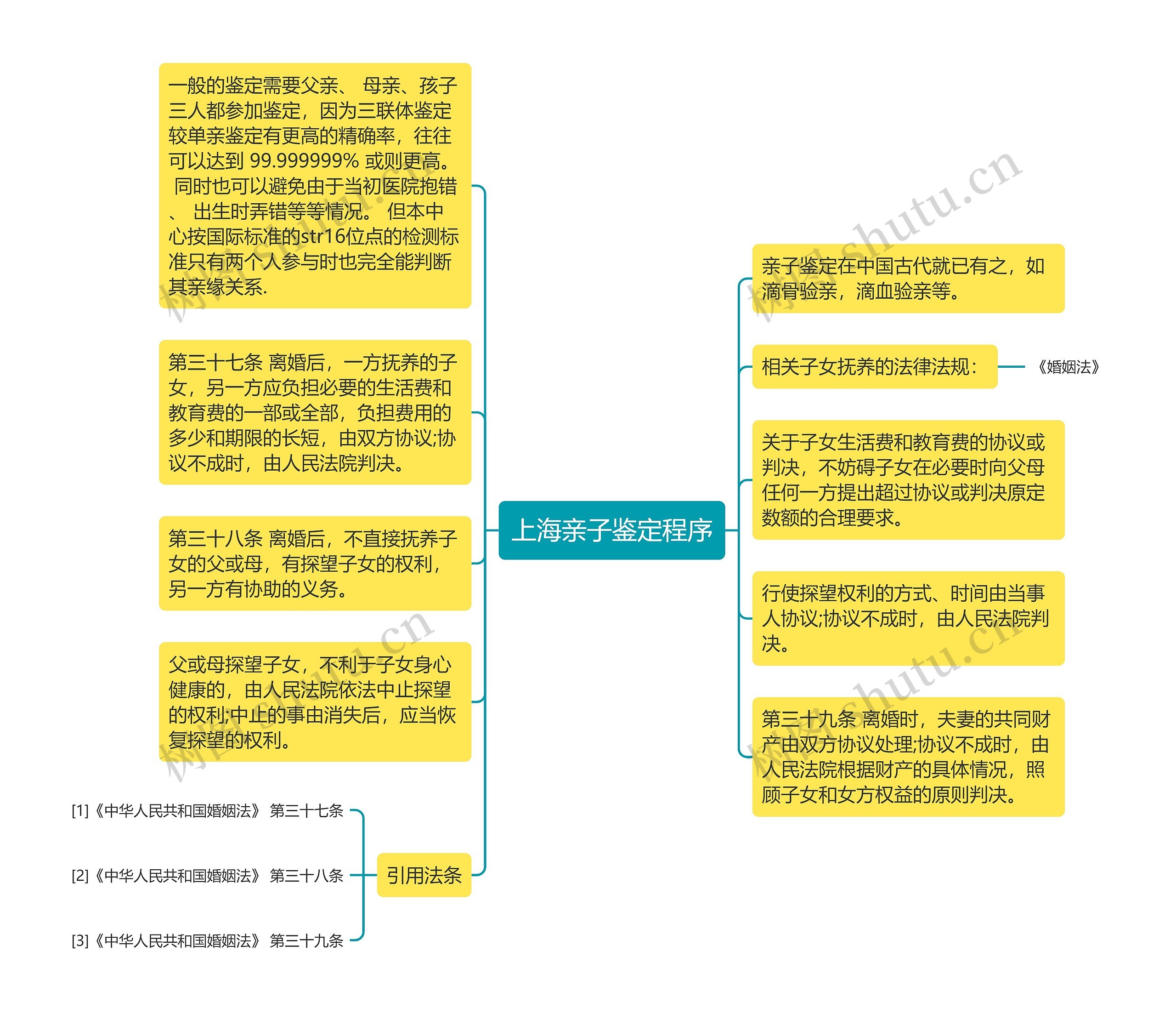 上海亲子鉴定程序思维导图
