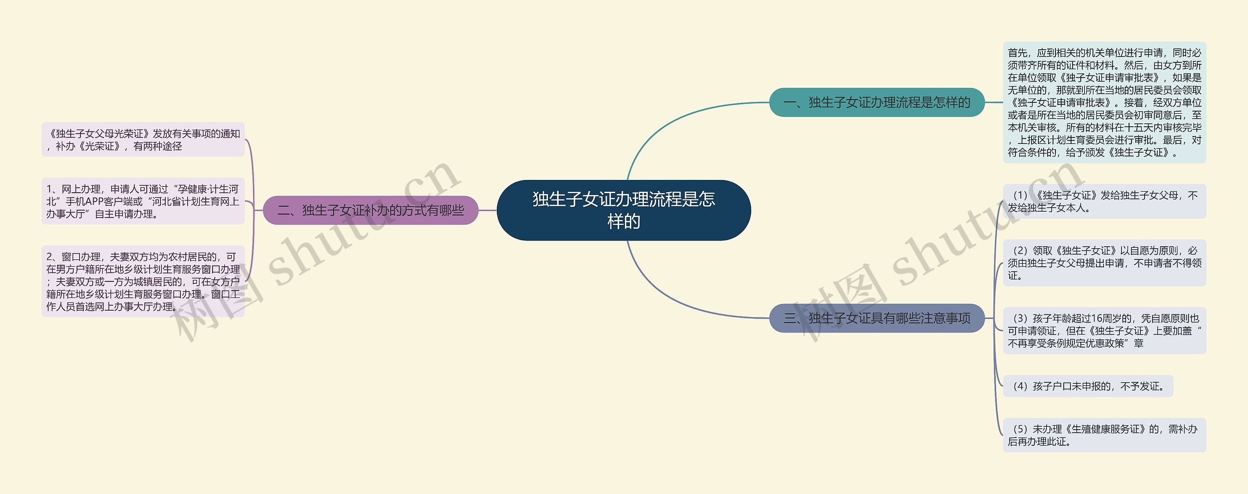 独生子女证办理流程是怎样的