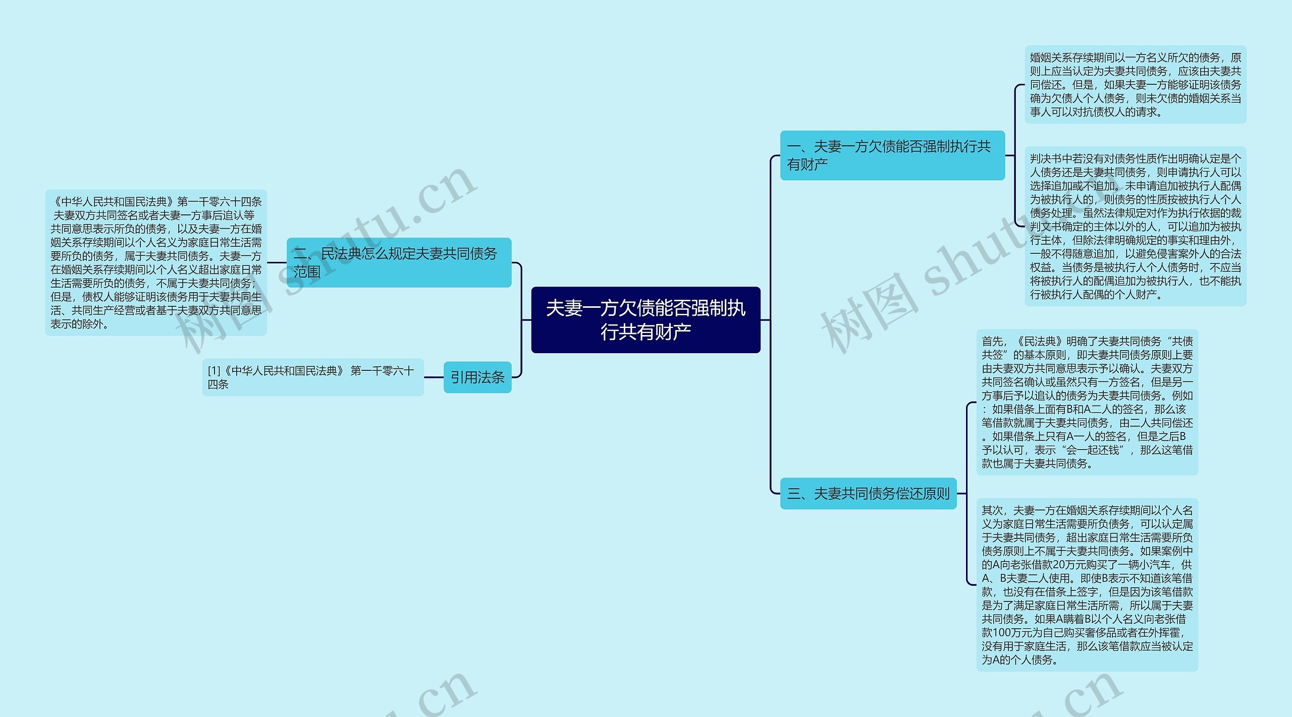 夫妻一方欠债能否强制执行共有财产思维导图