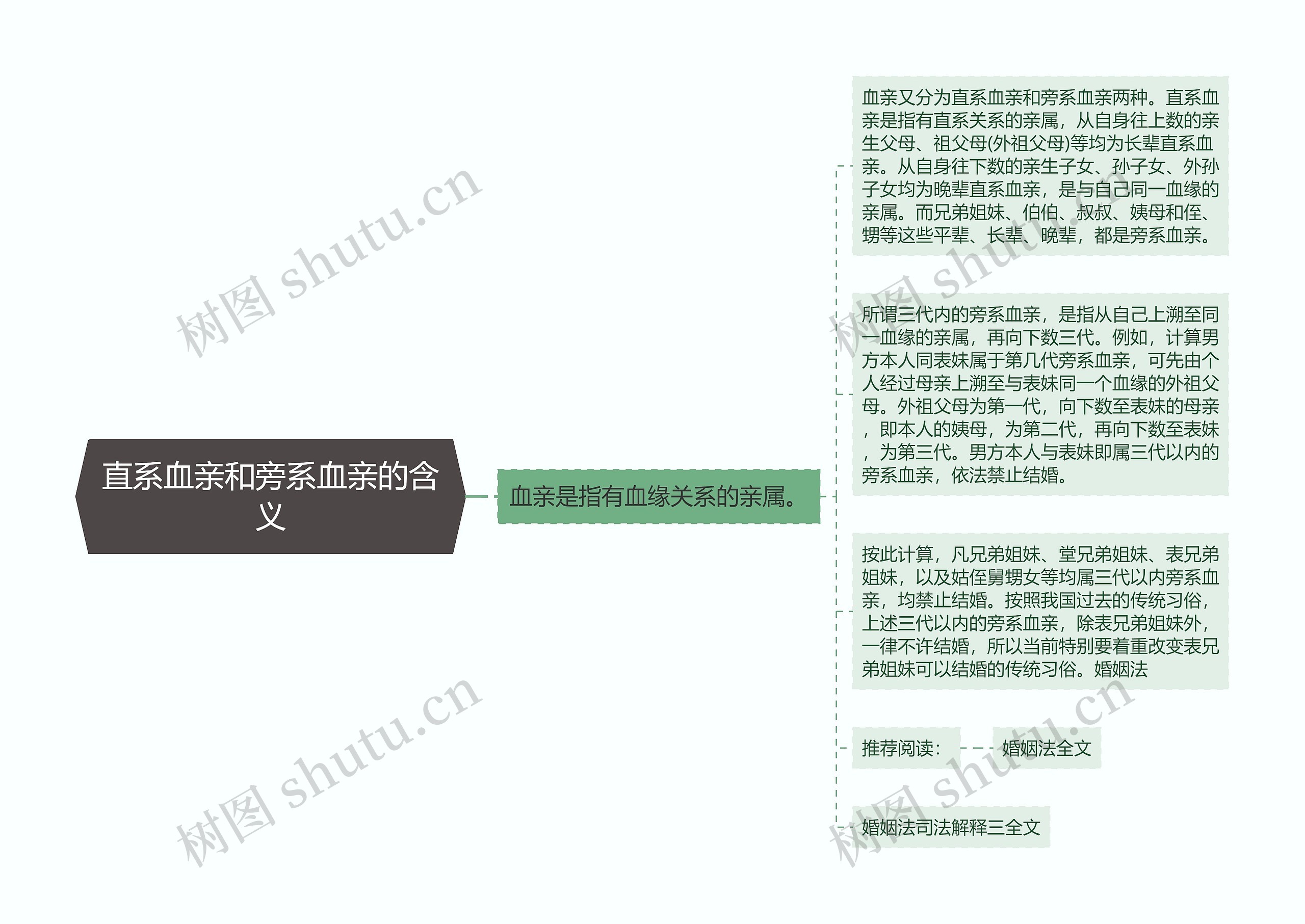 直系血亲和旁系血亲的含义