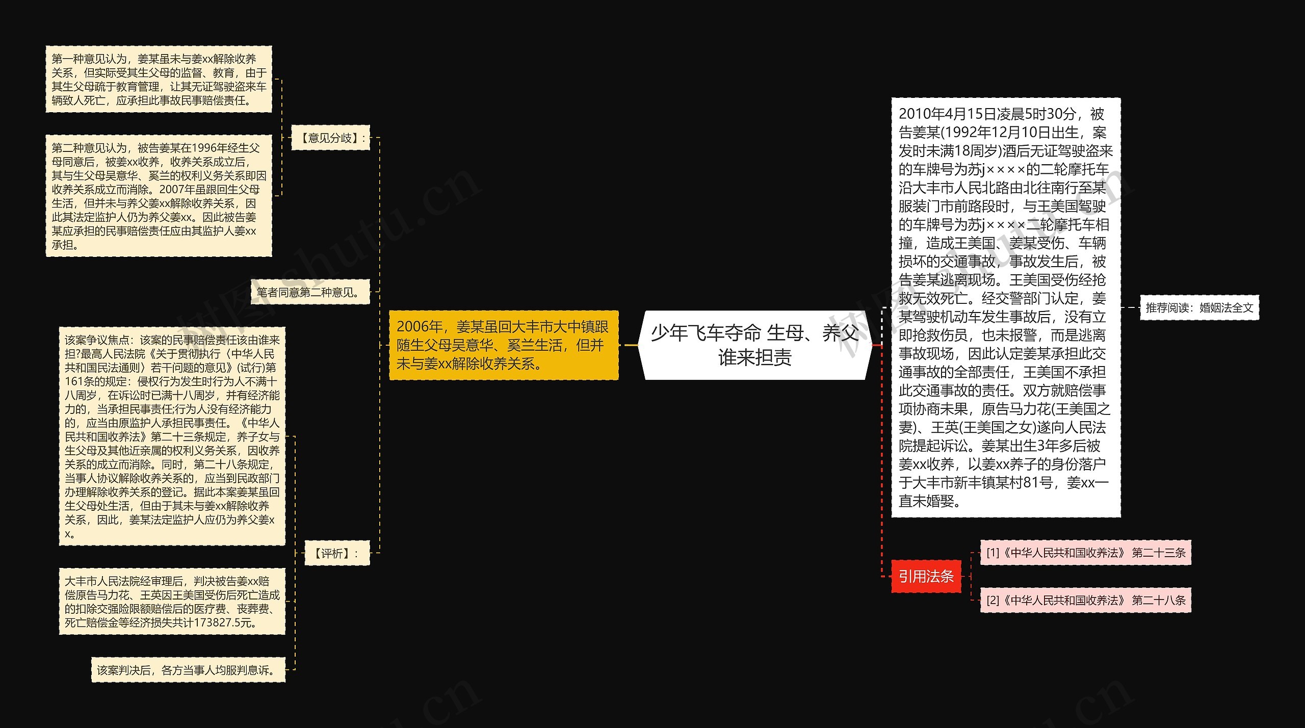 少年飞车夺命 生母、养父谁来担责思维导图