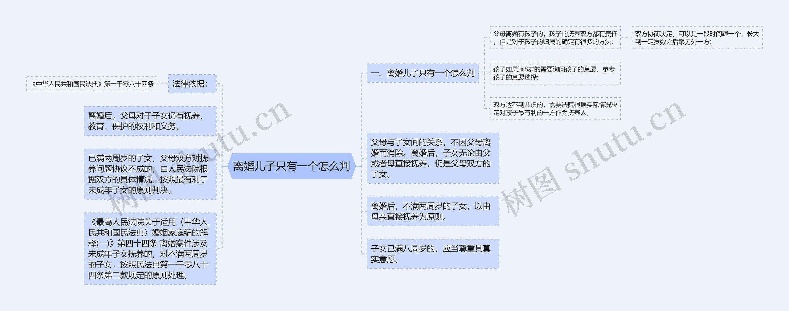 离婚儿子只有一个怎么判思维导图