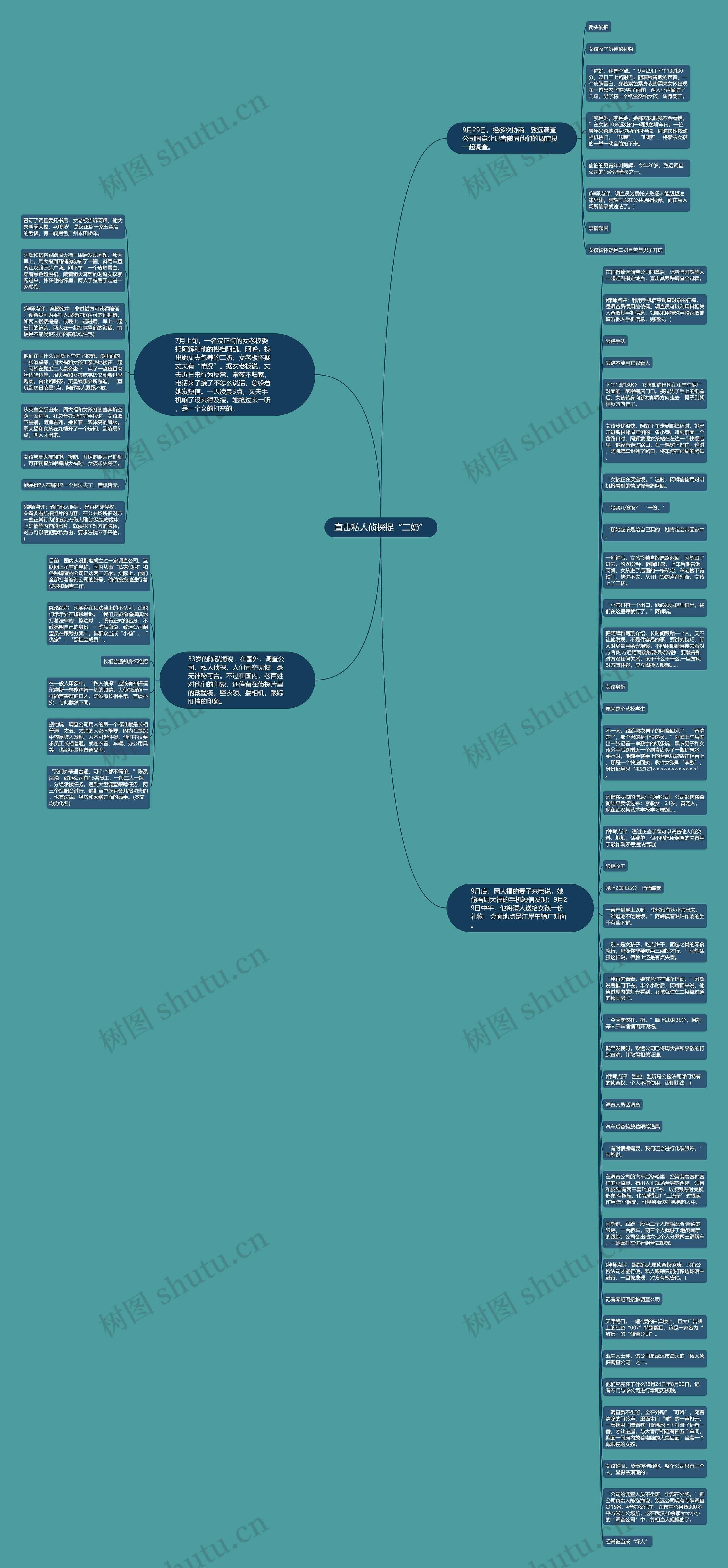 直击私人侦探捉“二奶”思维导图