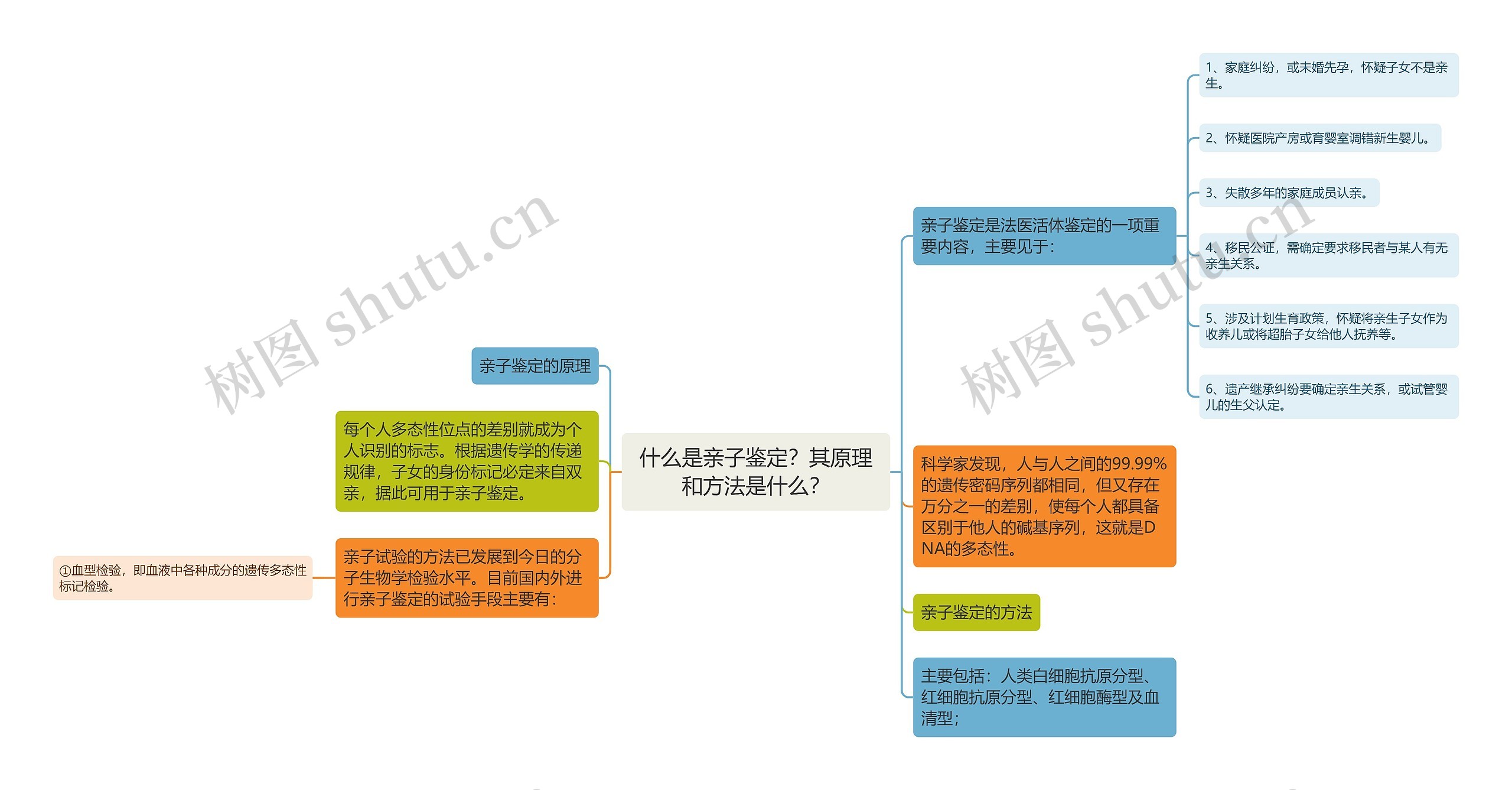 什么是亲子鉴定？其原理和方法是什么？思维导图