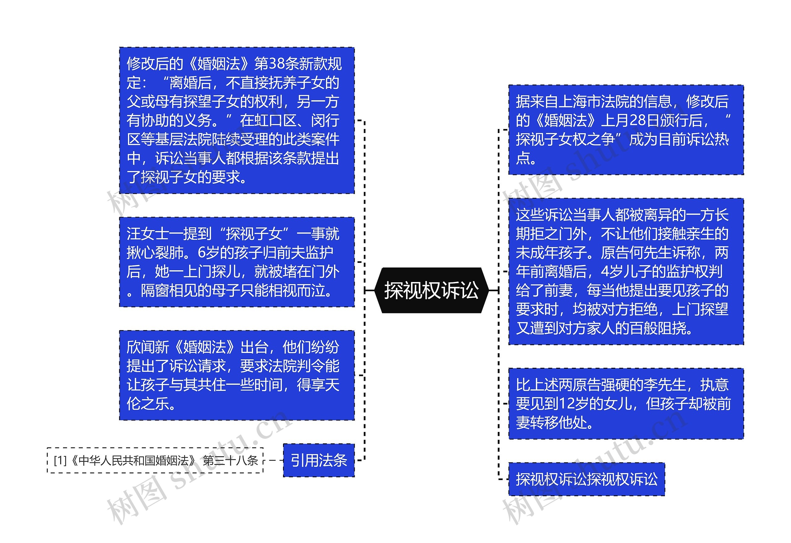 探视权诉讼思维导图