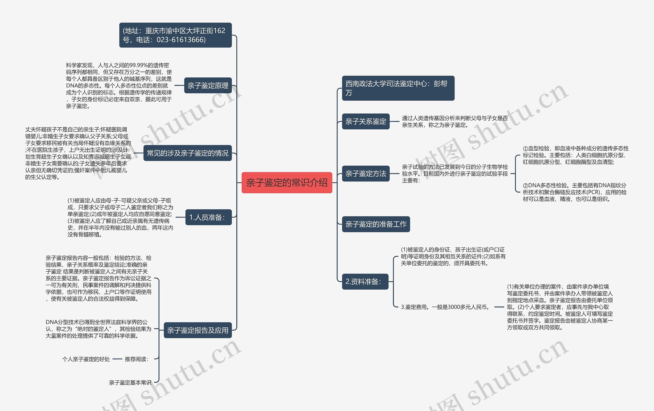 亲子鉴定的常识介绍思维导图