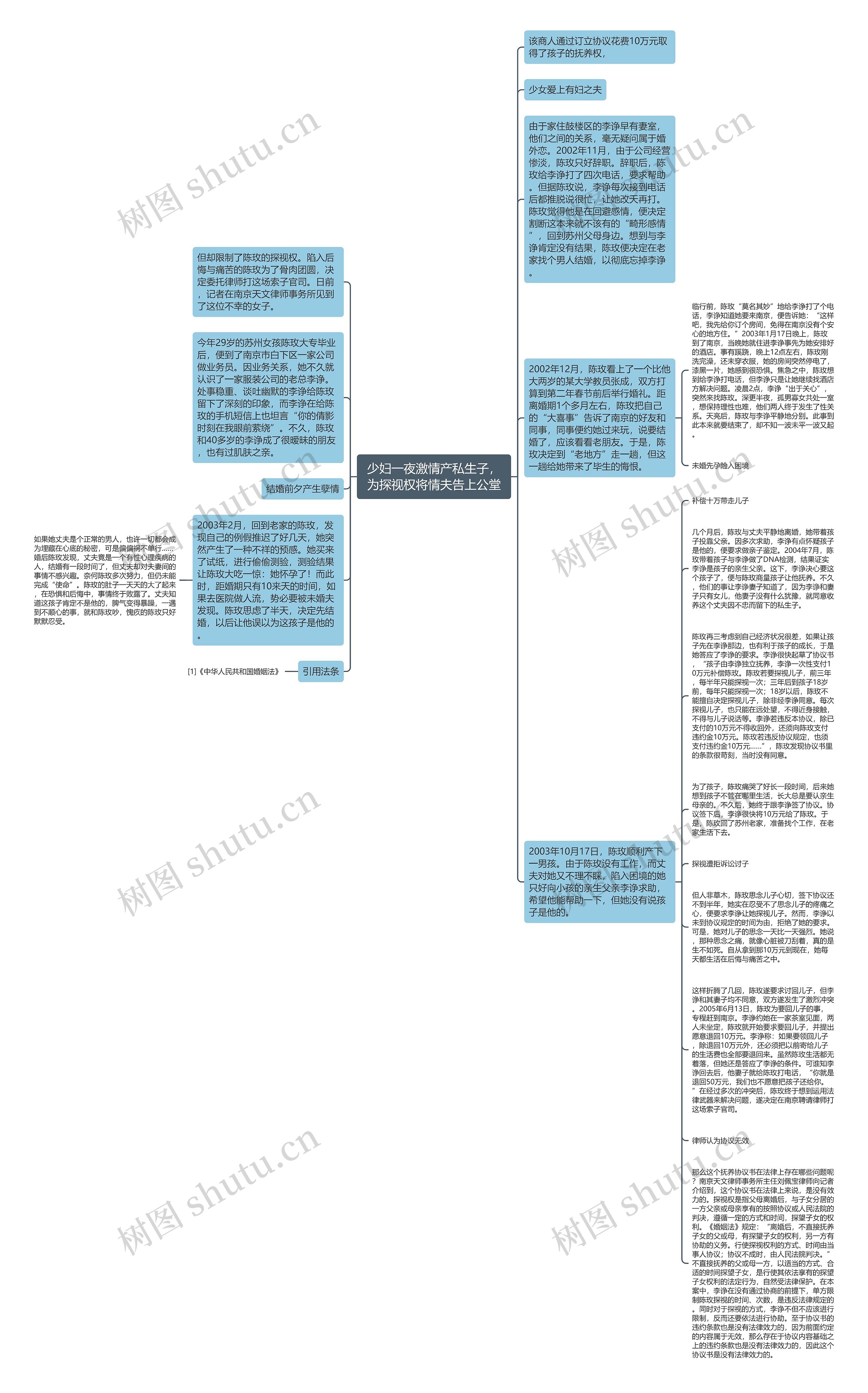 少妇一夜激情产私生子，为探视权将情夫告上公堂思维导图