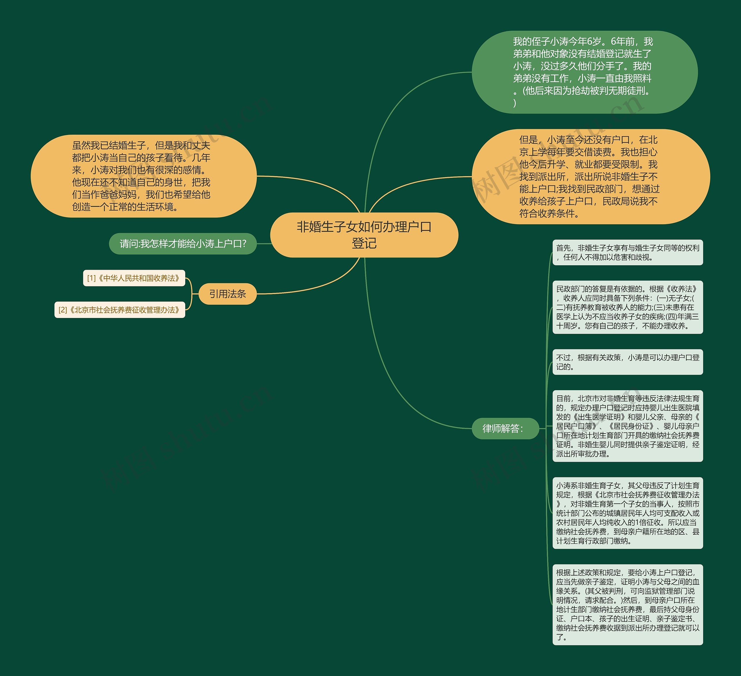 非婚生子女如何办理户口登记思维导图
