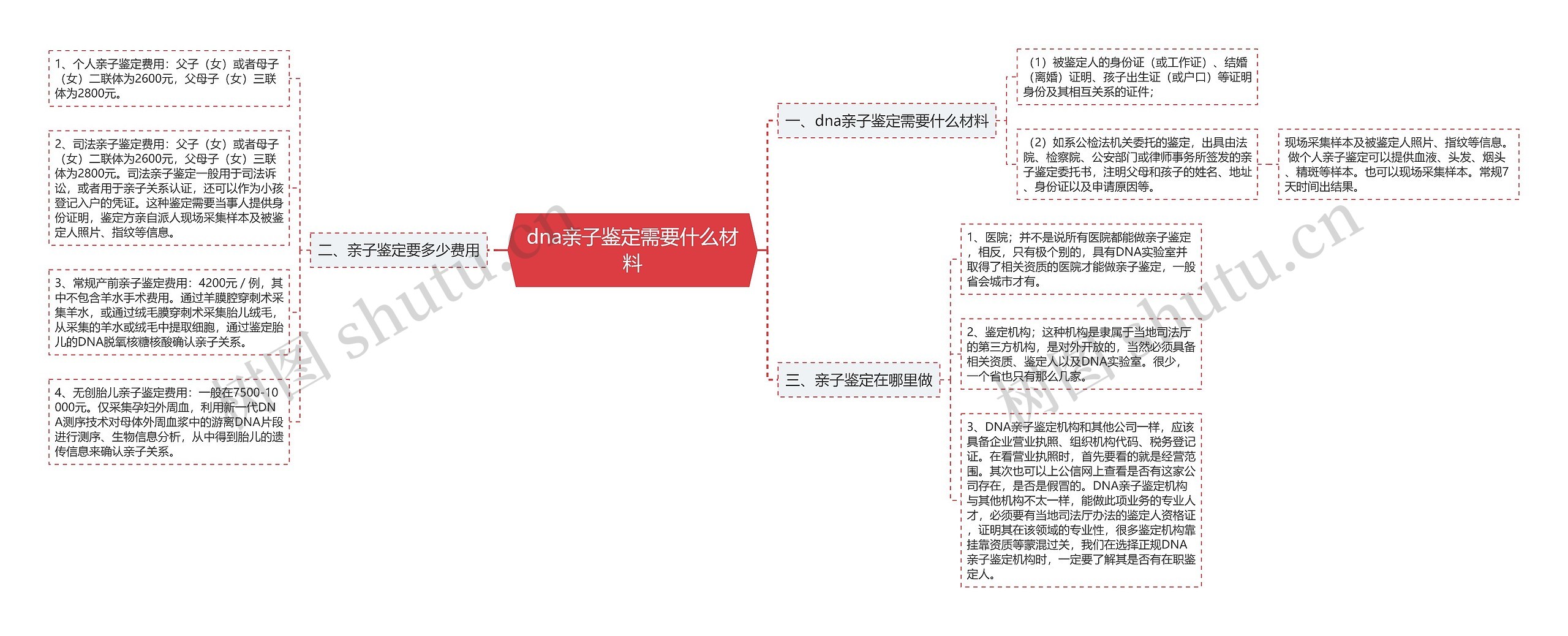 dna亲子鉴定需要什么材料思维导图