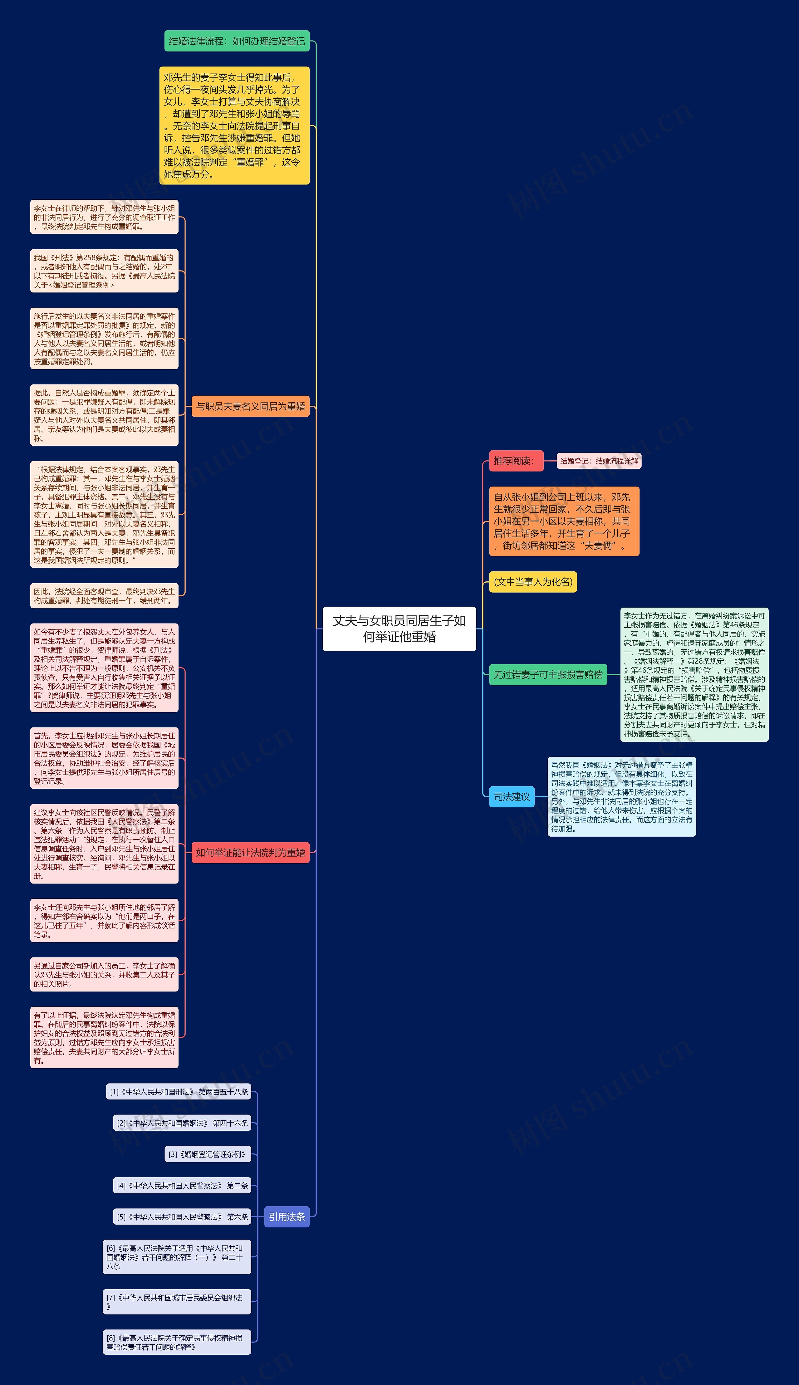 丈夫与女职员同居生子如何举证他重婚思维导图