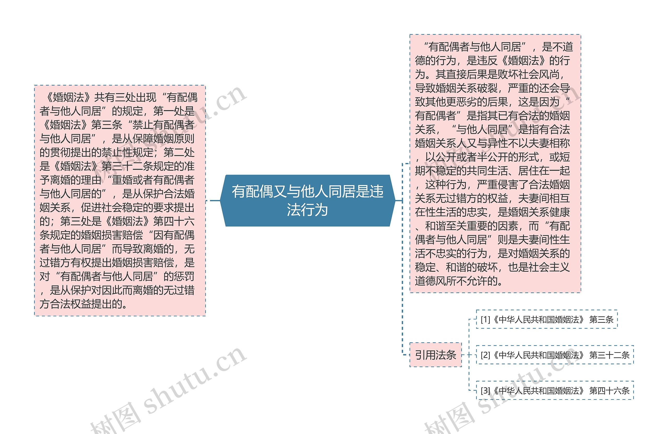 有配偶又与他人同居是违法行为思维导图