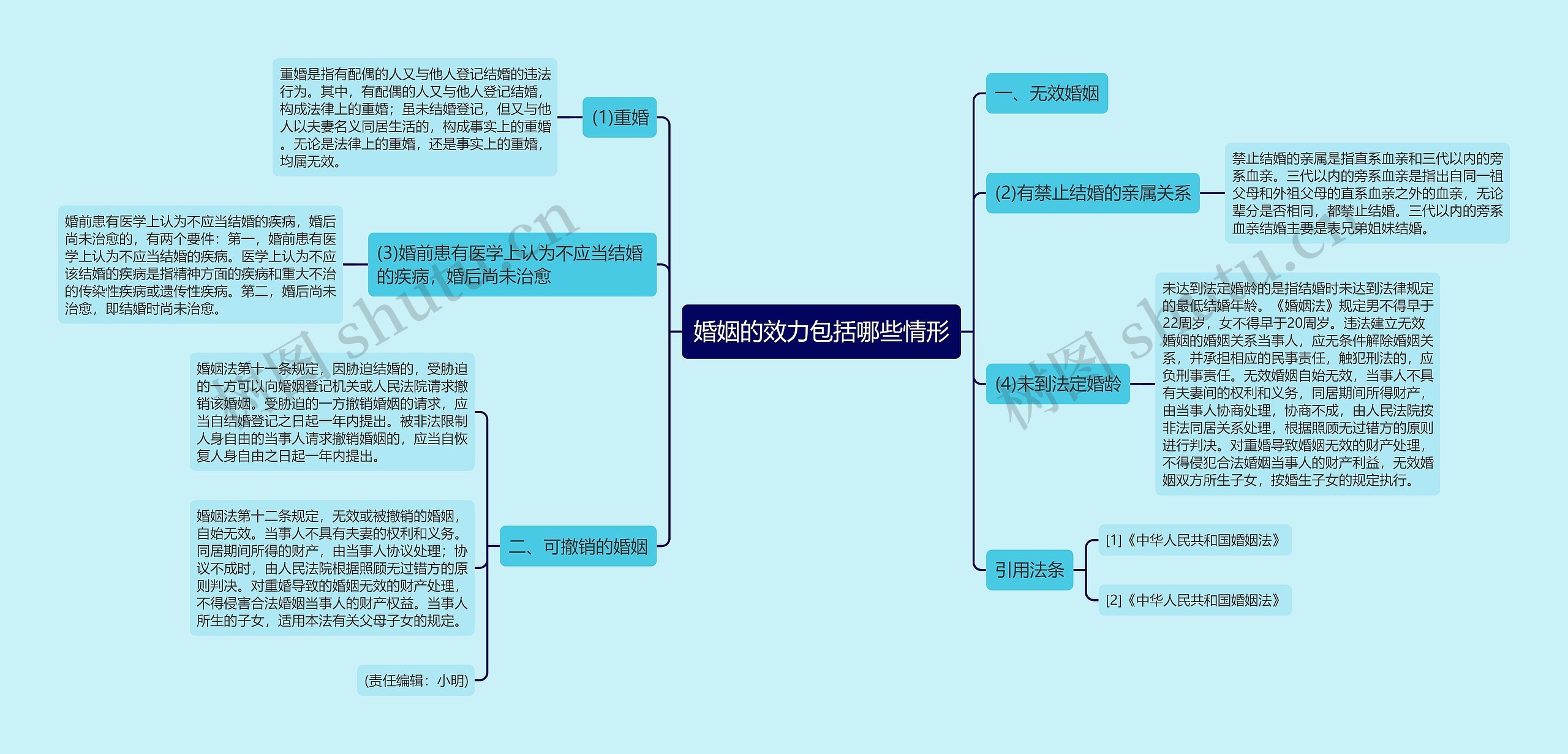 婚姻的效力包括哪些情形思维导图