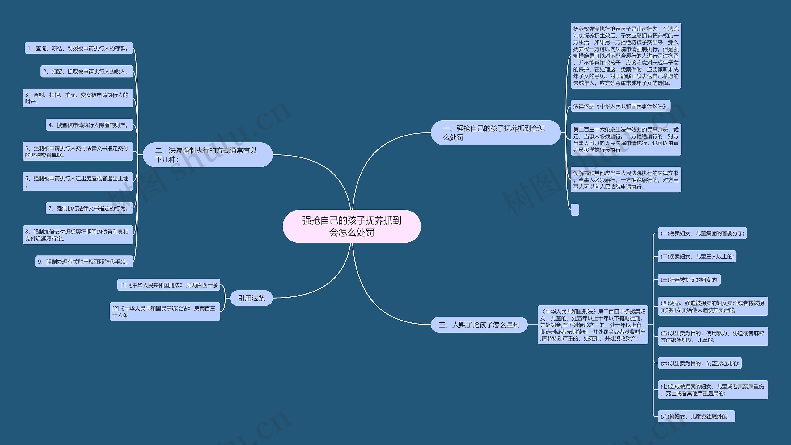强抢自己的孩子抚养抓到会怎么处罚思维导图