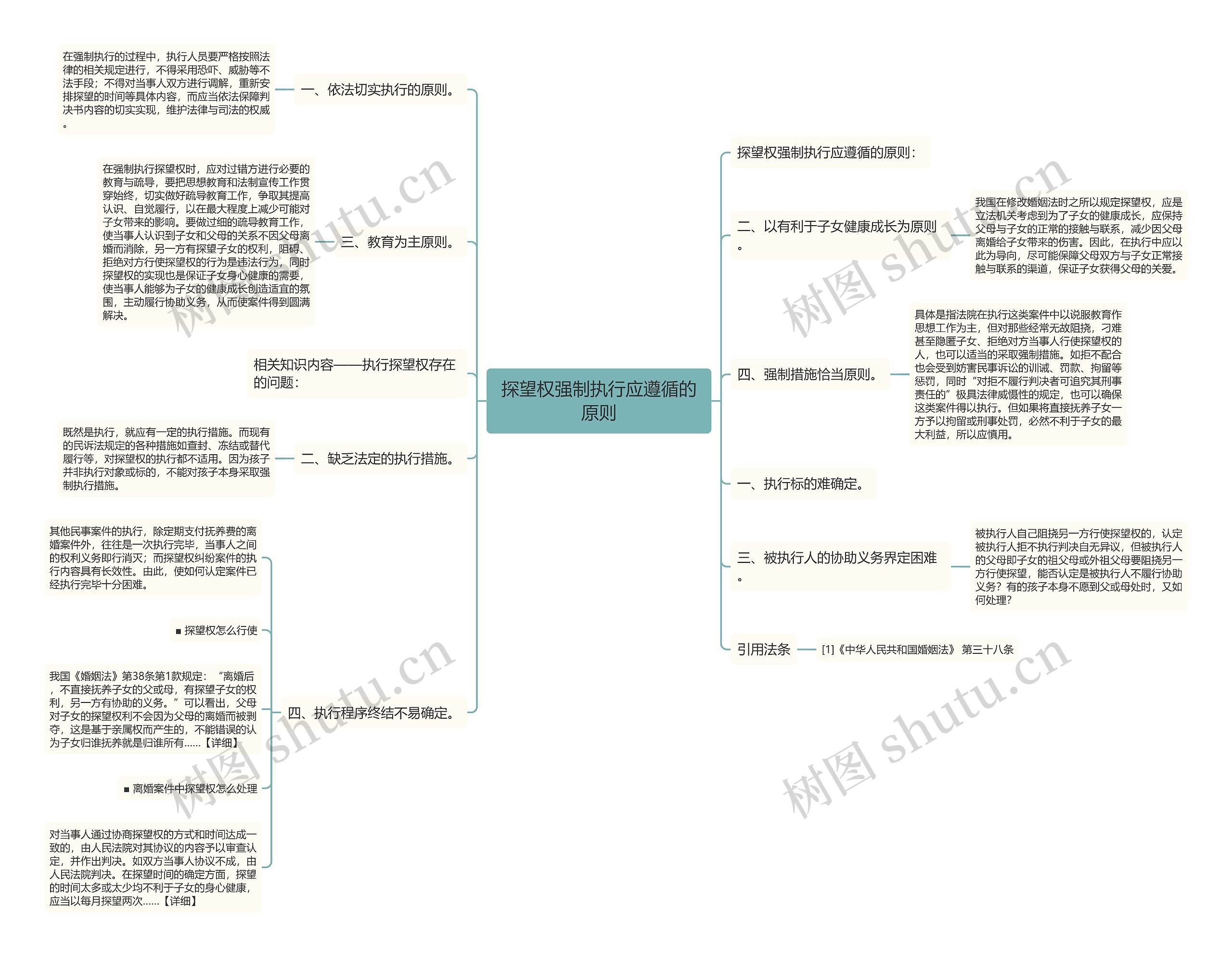 探望权强制执行应遵循的原则思维导图