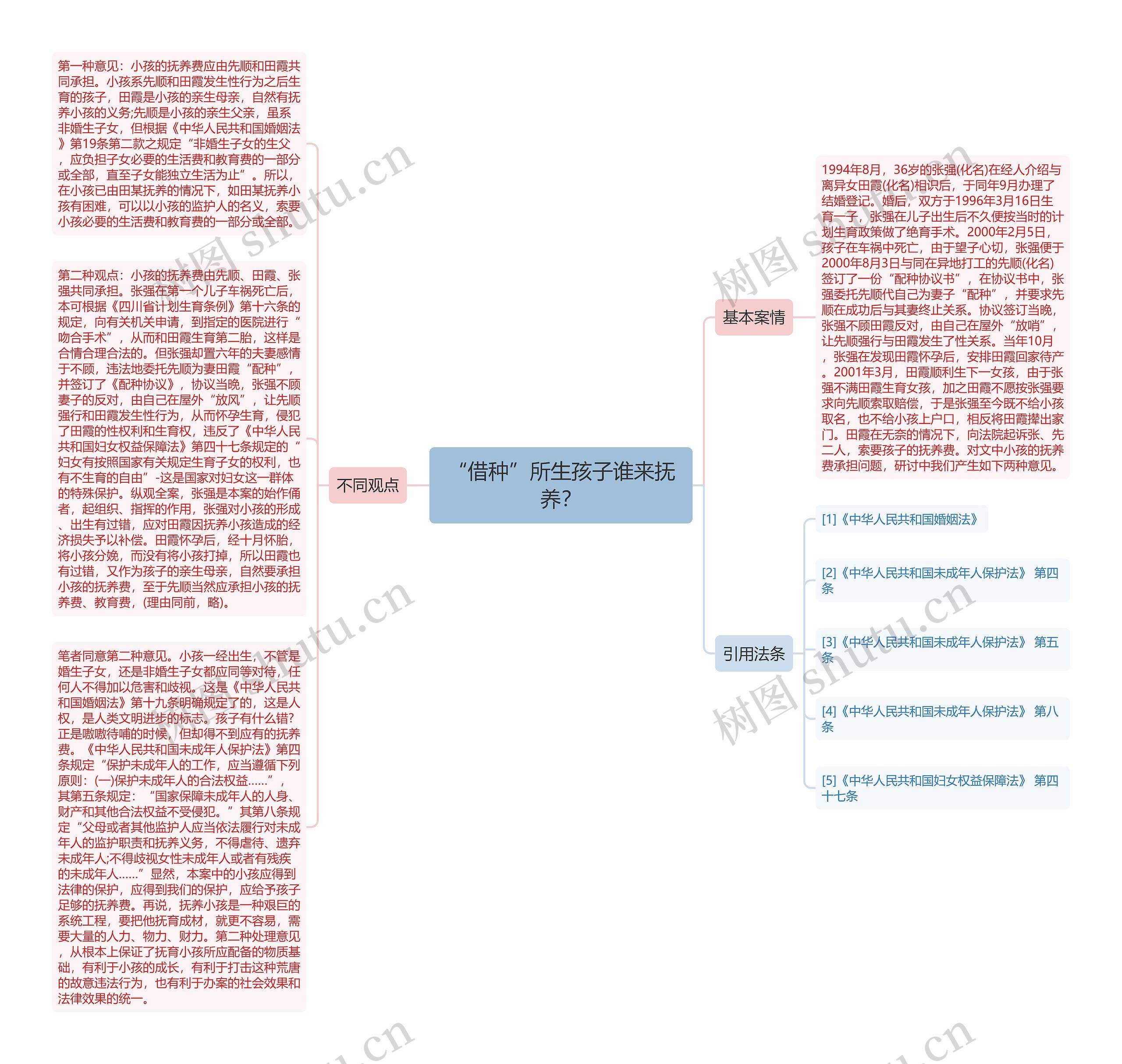 “借种”所生孩子谁来抚养？思维导图