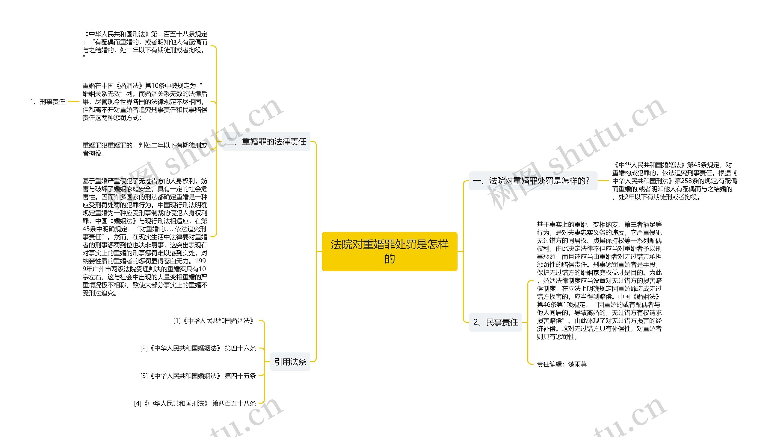 法院对重婚罪处罚是怎样的思维导图