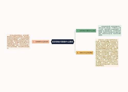 抚养费给付期限什么意思