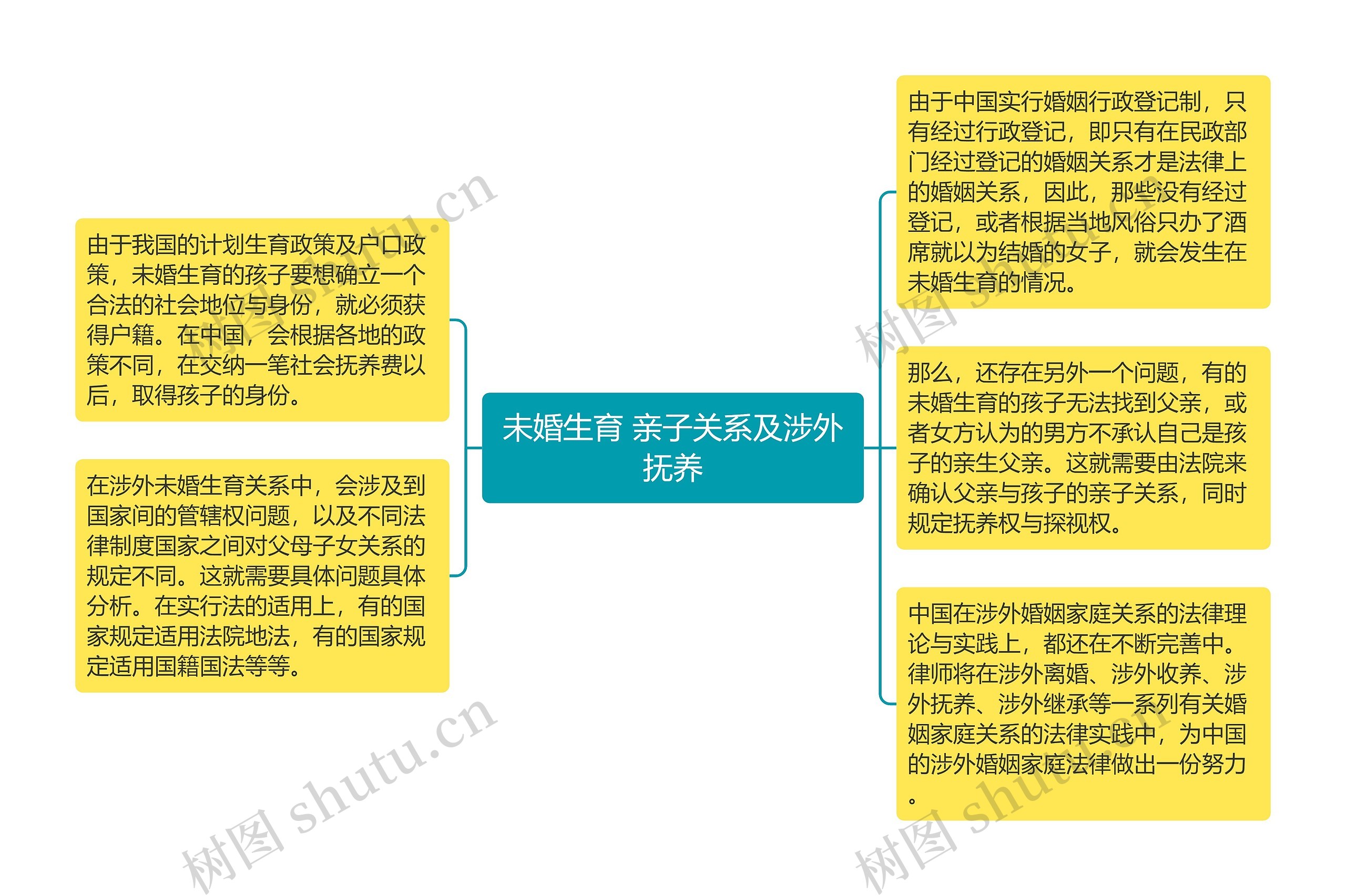 未婚生育 亲子关系及涉外抚养思维导图