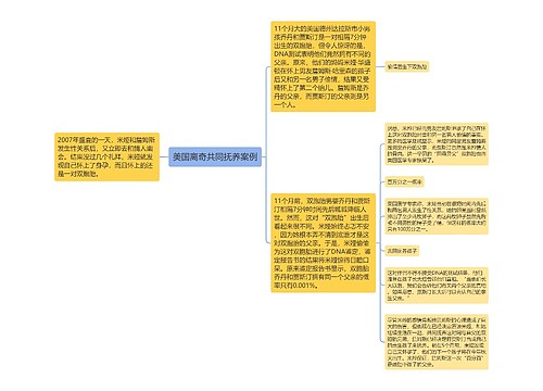 美国离奇共同抚养案例