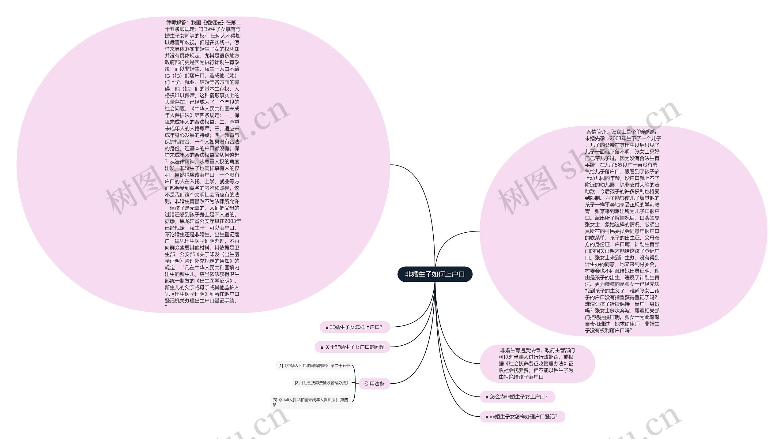 非婚生子如何上户口思维导图