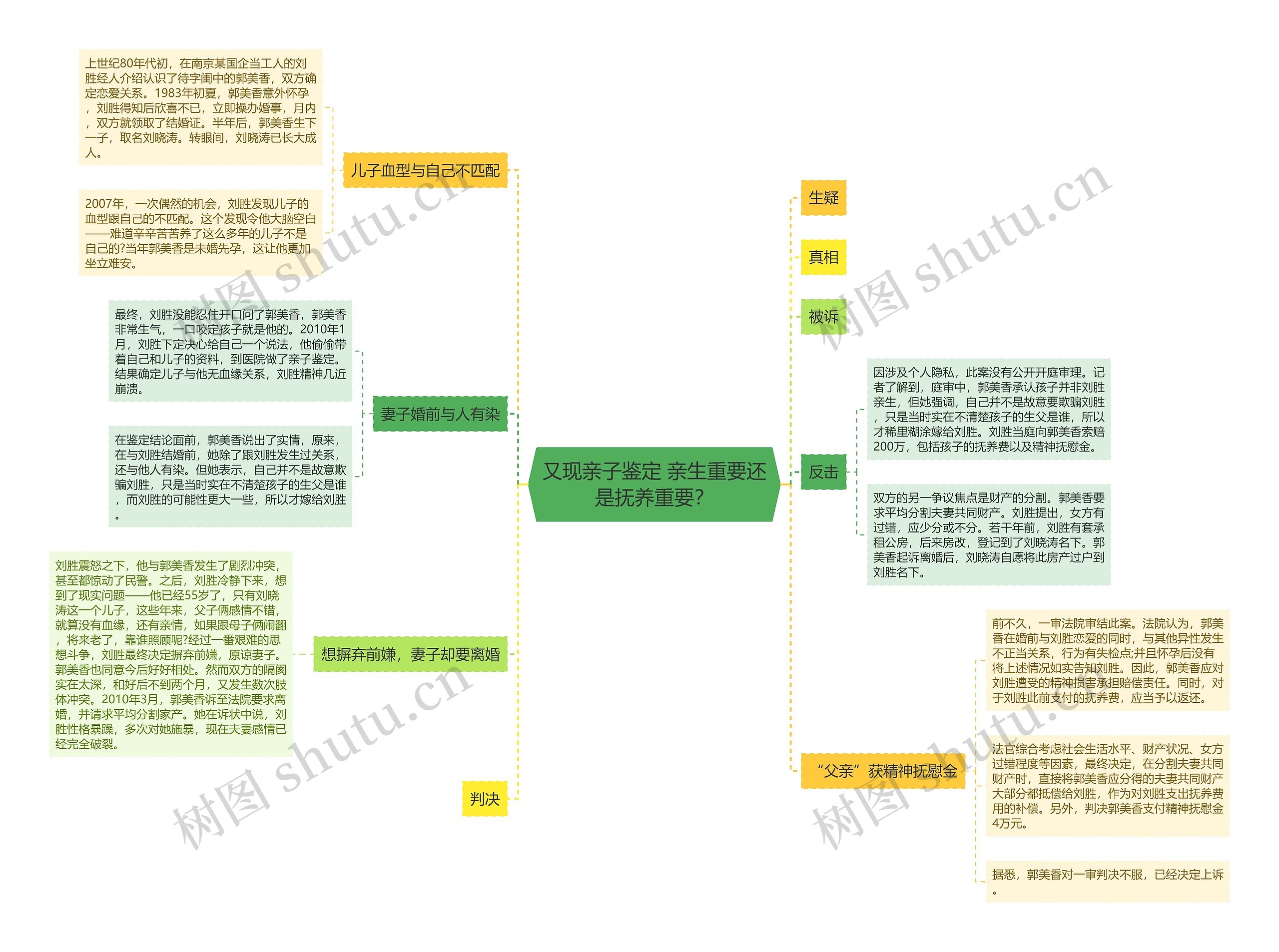 又现亲子鉴定 亲生重要还是抚养重要？思维导图