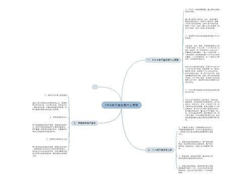DNA亲子鉴定是什么原理