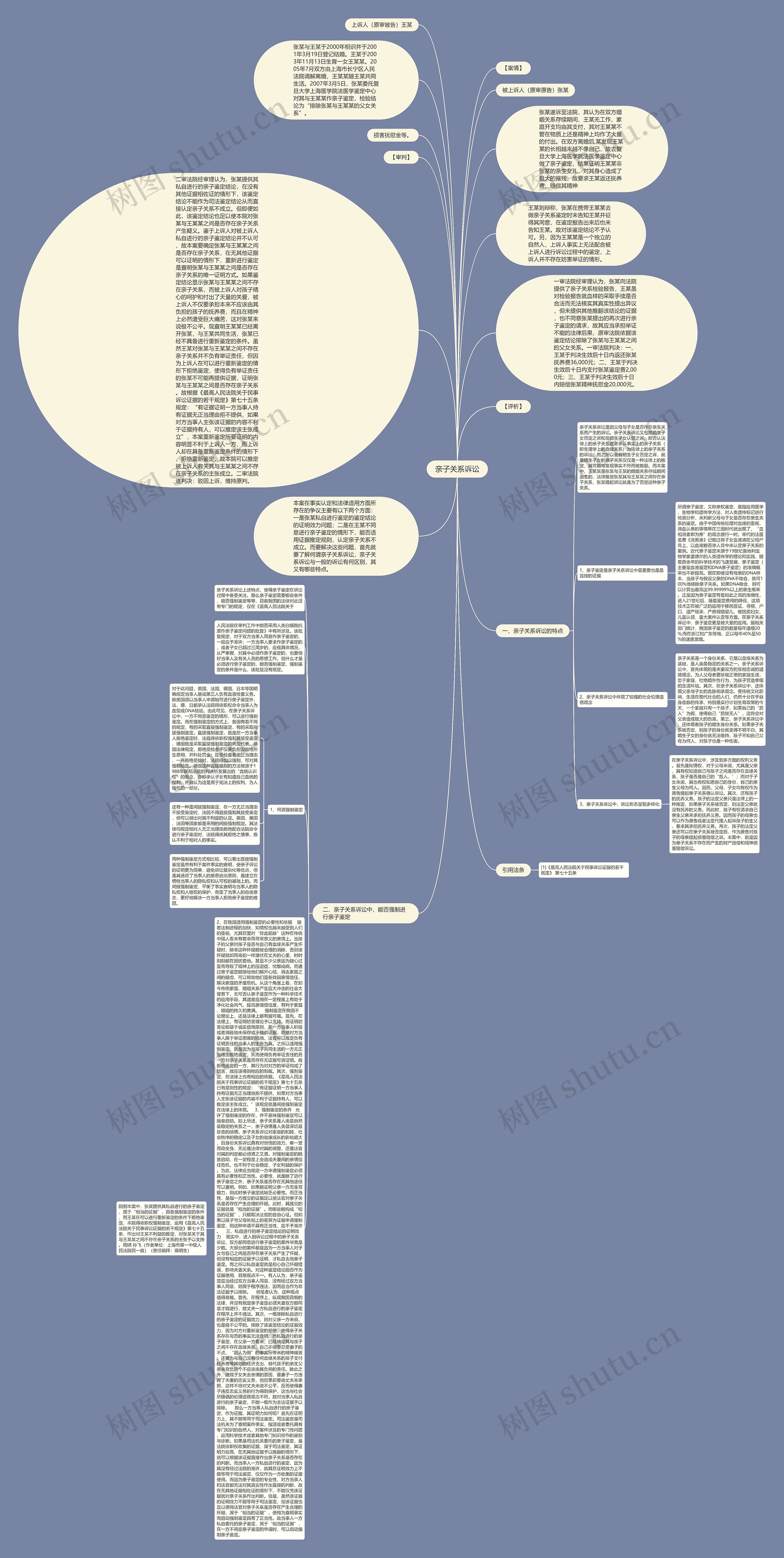 亲子关系诉讼思维导图