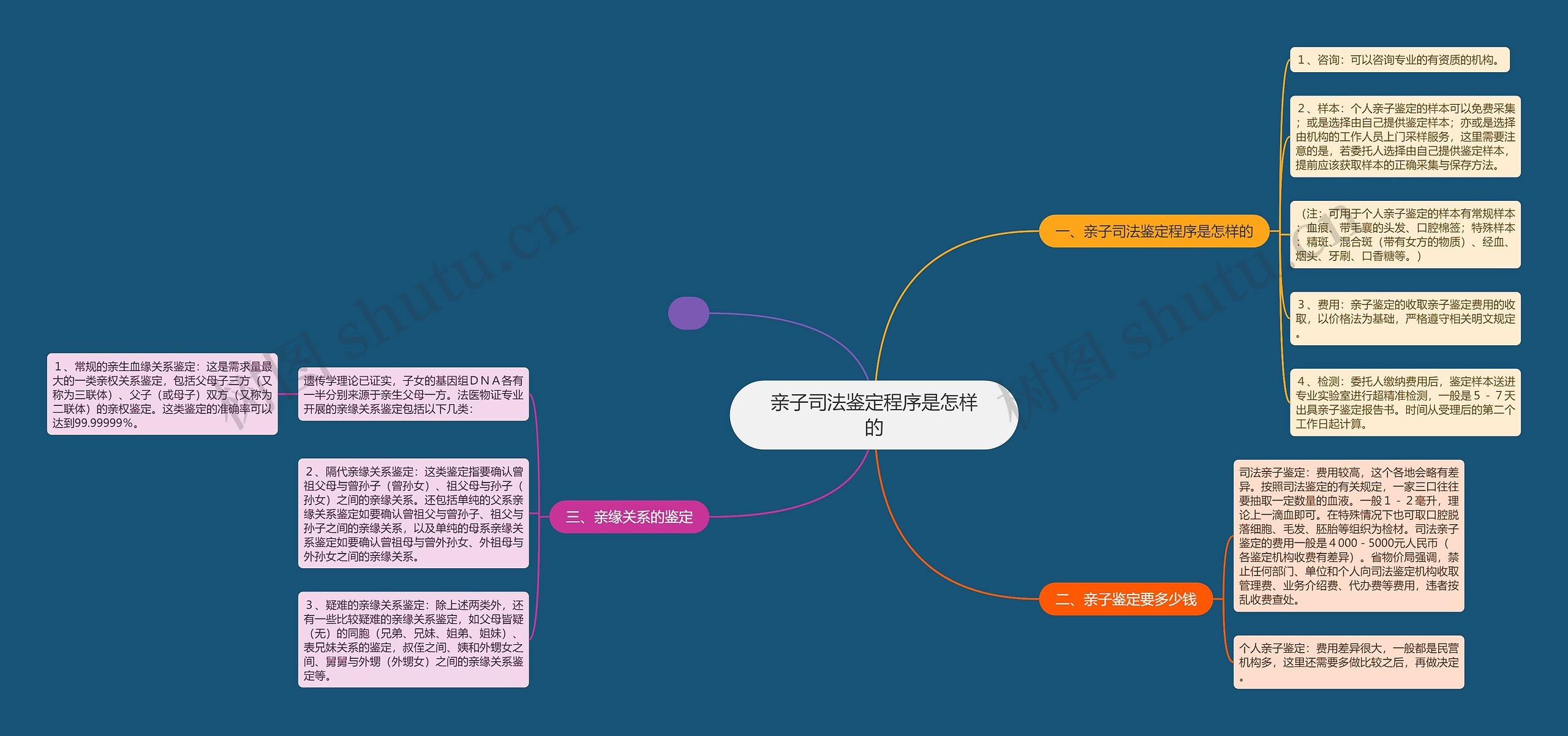 亲子司法鉴定程序是怎样的思维导图