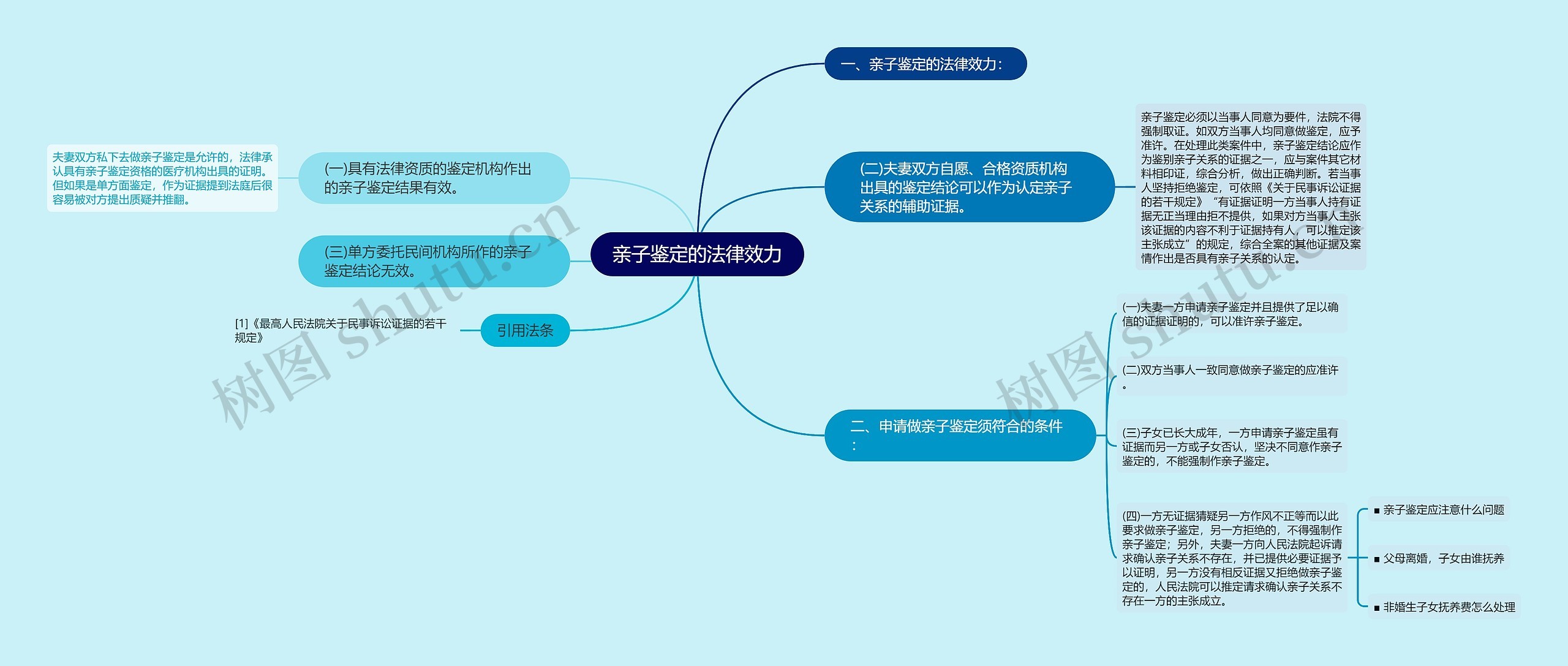 亲子鉴定的法律效力思维导图