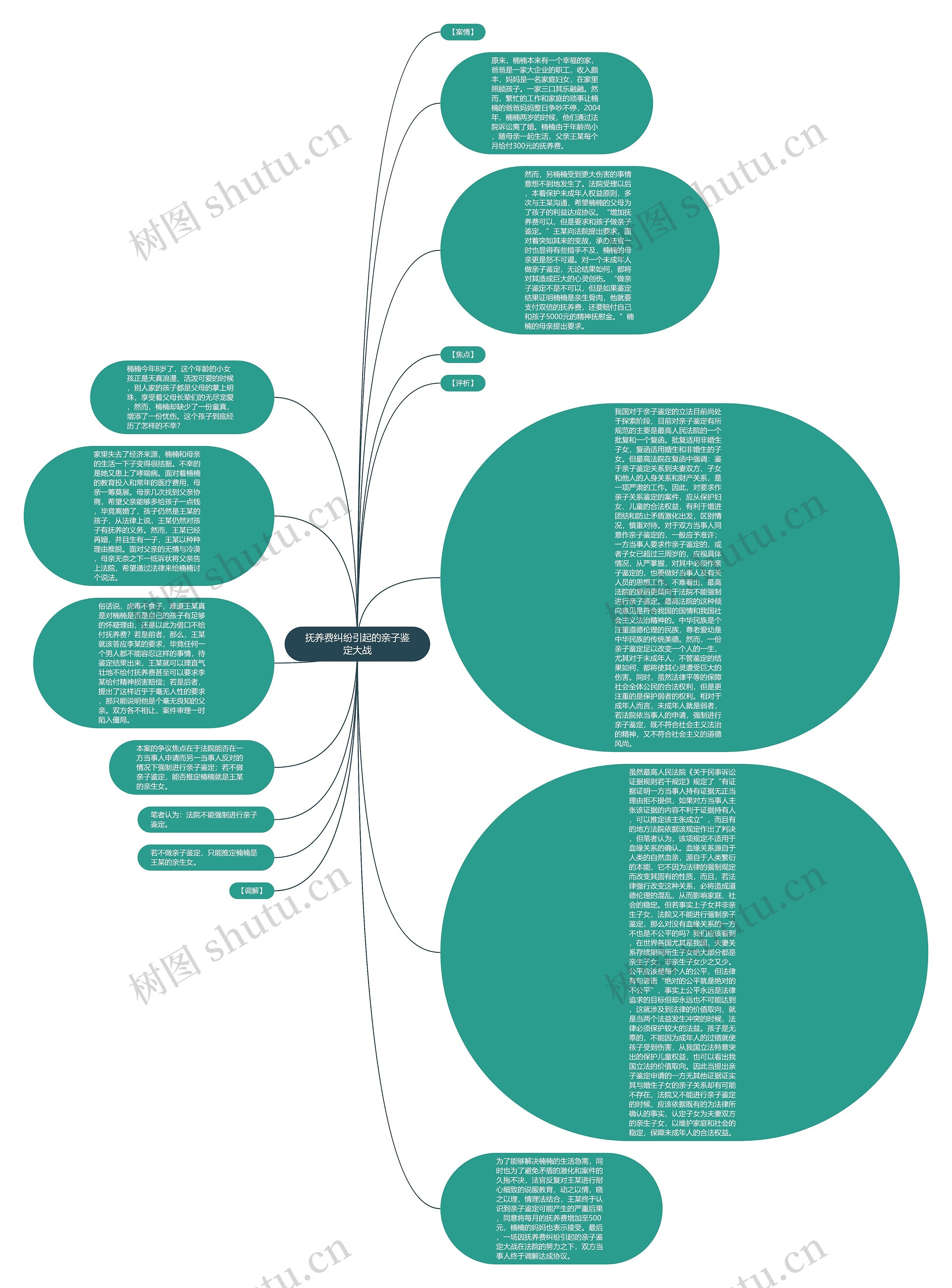 抚养费纠纷引起的亲子鉴定大战思维导图