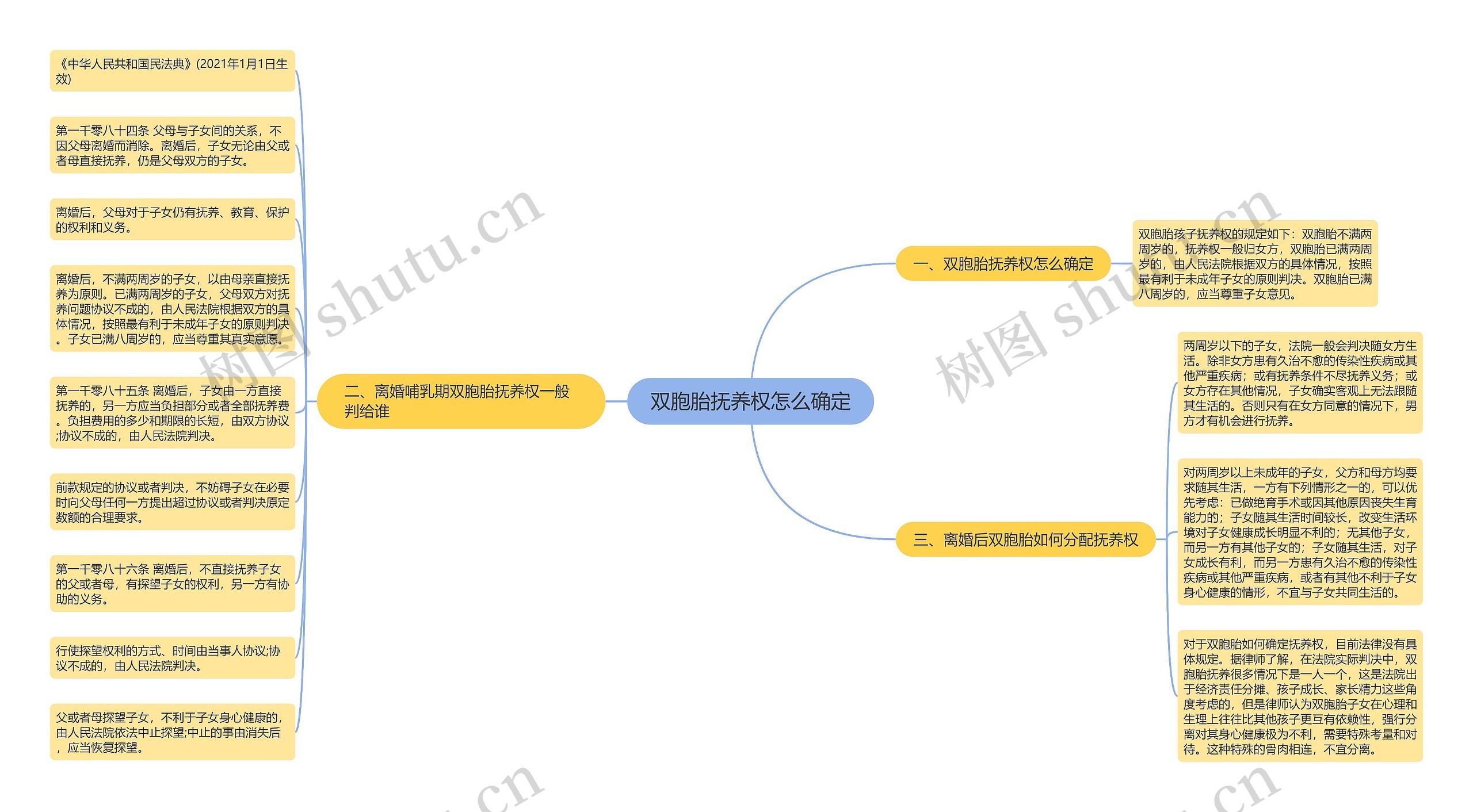 双胞胎抚养权怎么确定思维导图