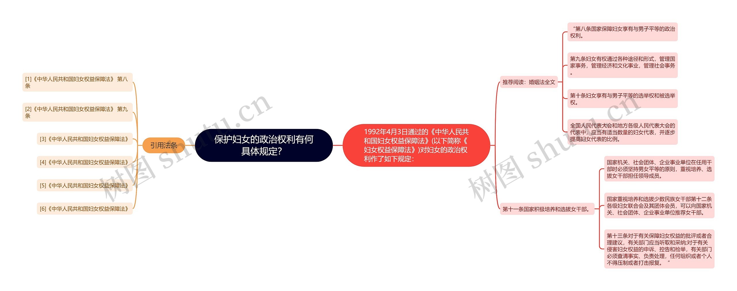 保护妇女的政治权利有何具体规定？