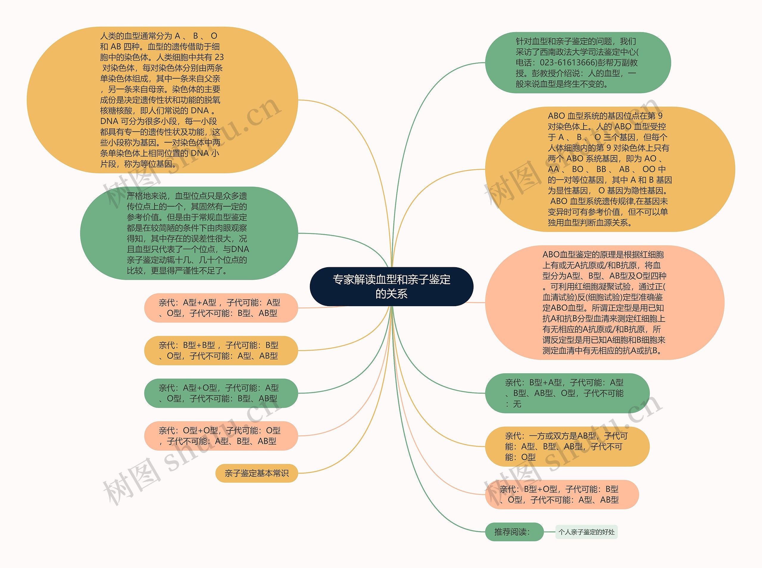 专家解读血型和亲子鉴定的关系