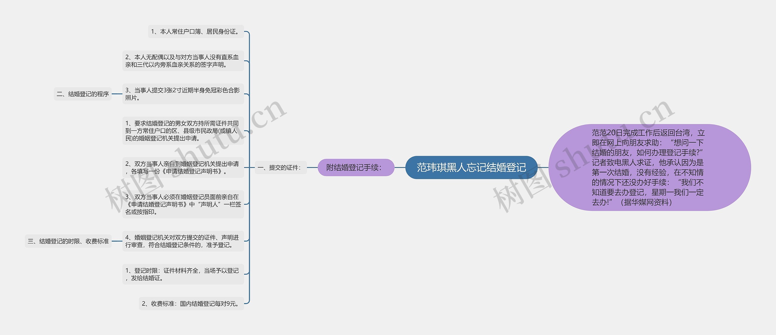 范玮琪黑人忘记结婚登记思维导图