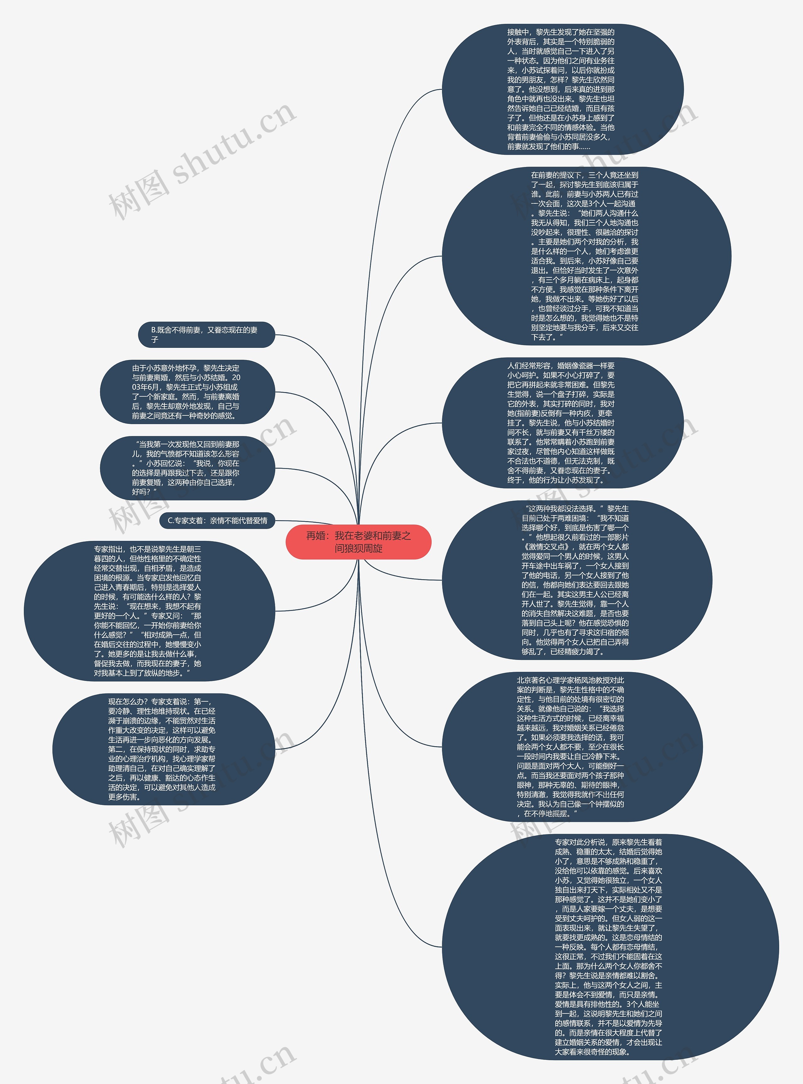再婚：我在老婆和前妻之间狼狈周旋思维导图