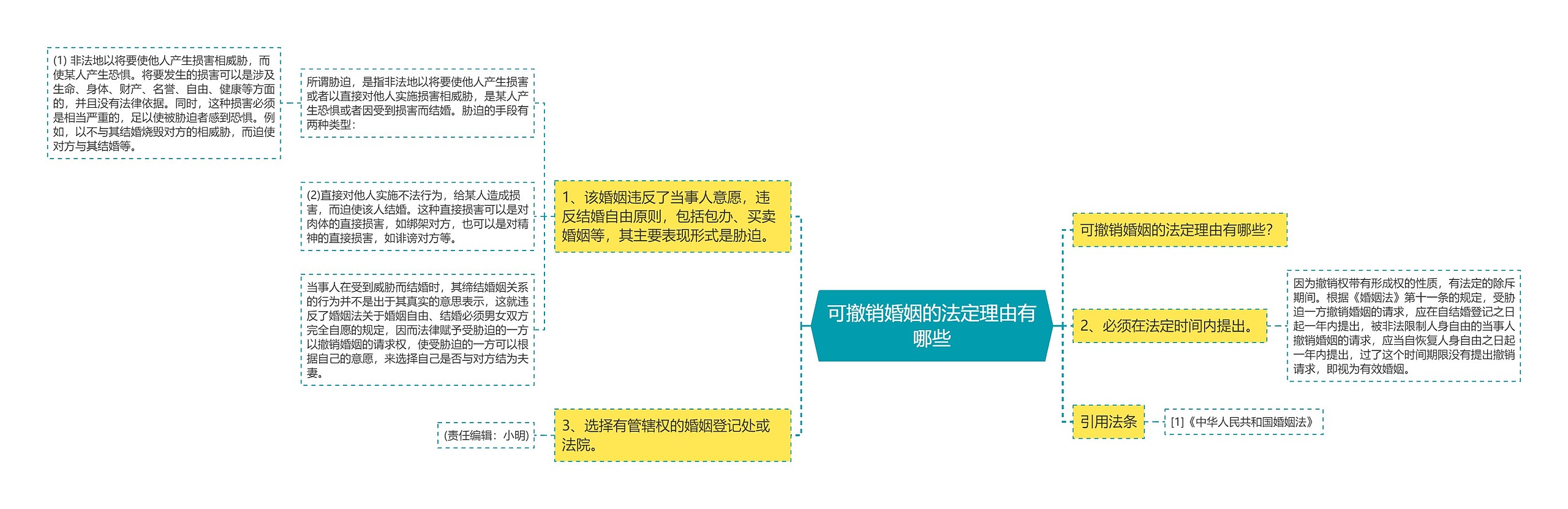 可撤销婚姻的法定理由有哪些思维导图