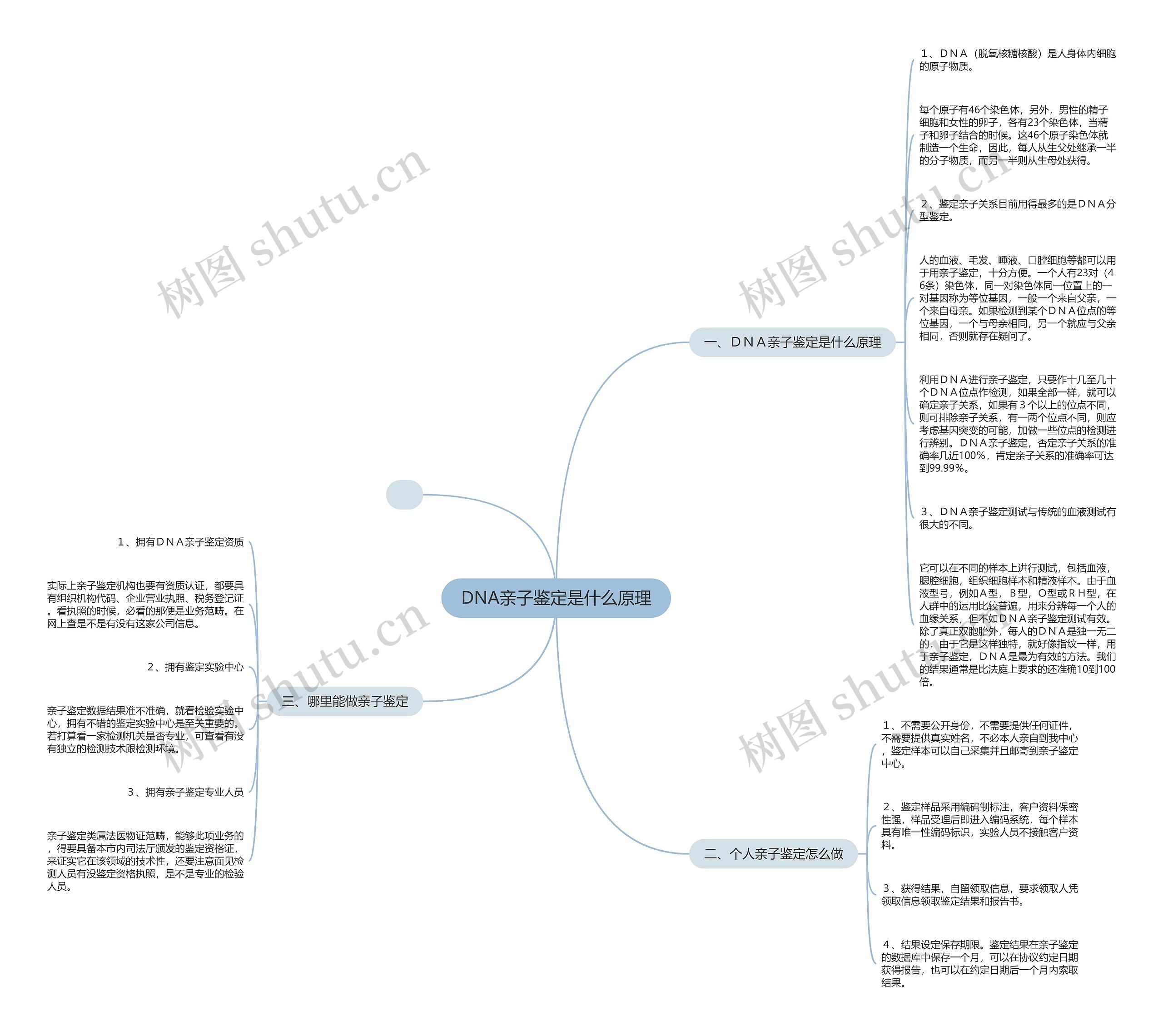 DNA亲子鉴定是什么原理思维导图