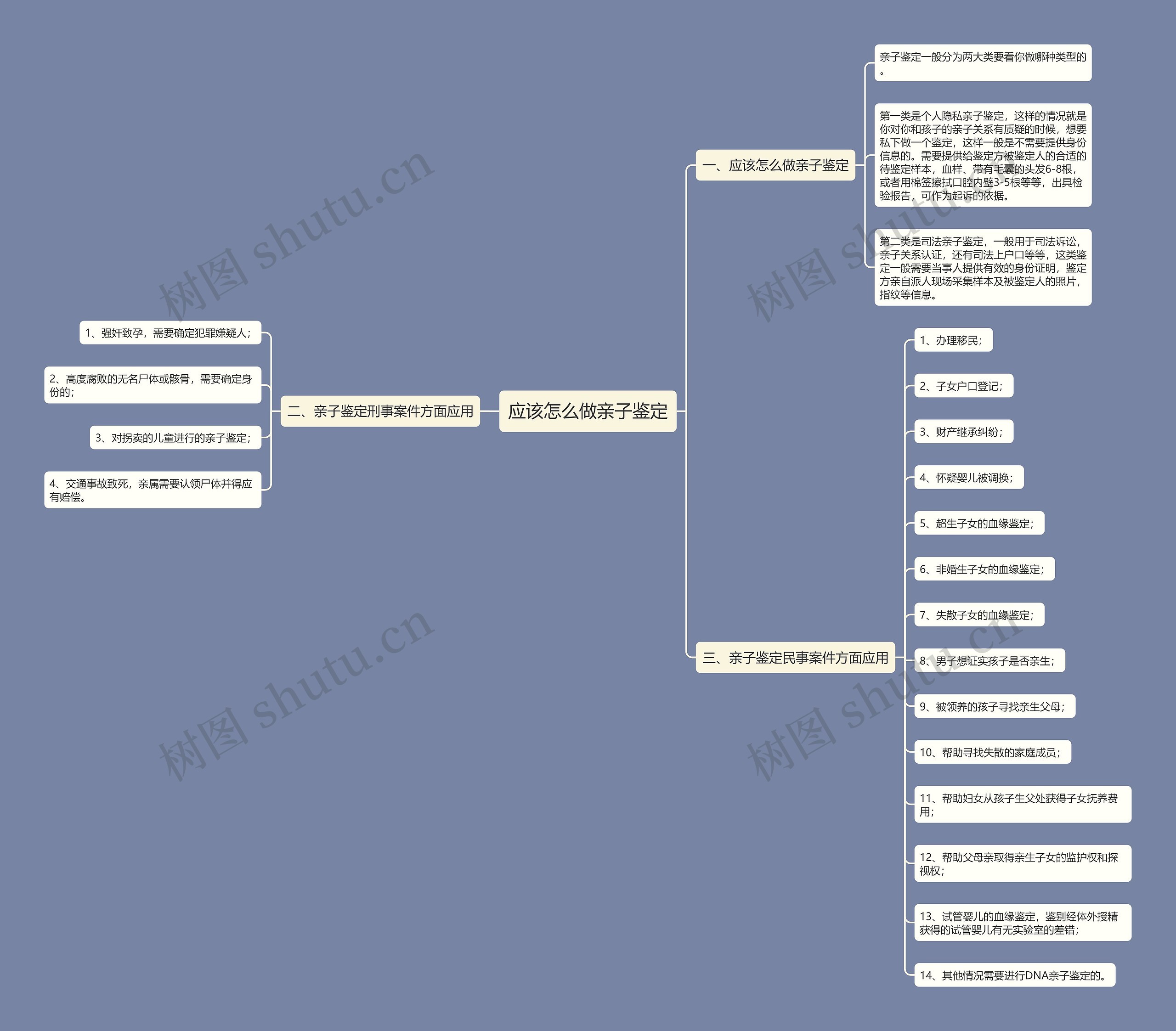 应该怎么做亲子鉴定思维导图