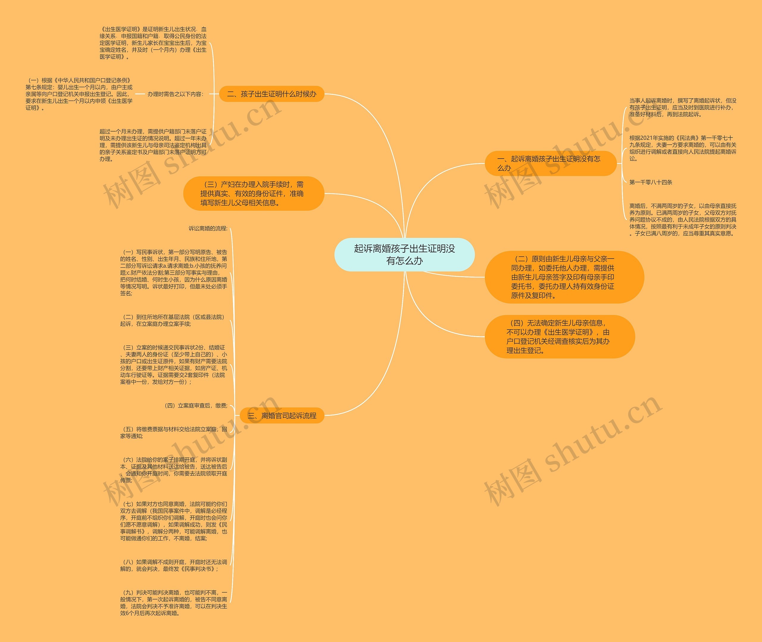 起诉离婚孩子出生证明没有怎么办思维导图